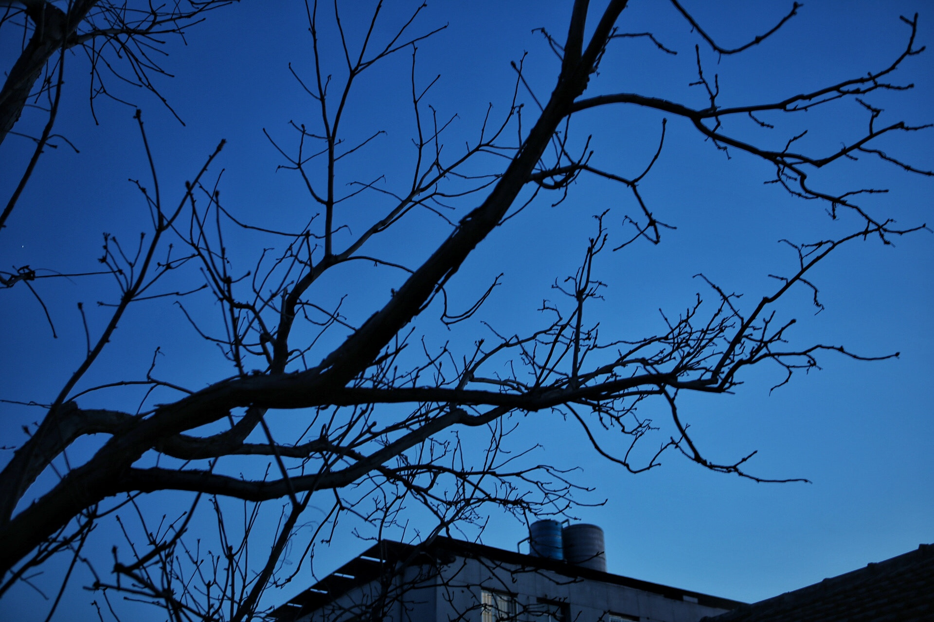 Canon EOS 6D + Canon EF 24-70mm F2.8L USM sample photo. 天气不错 photography
