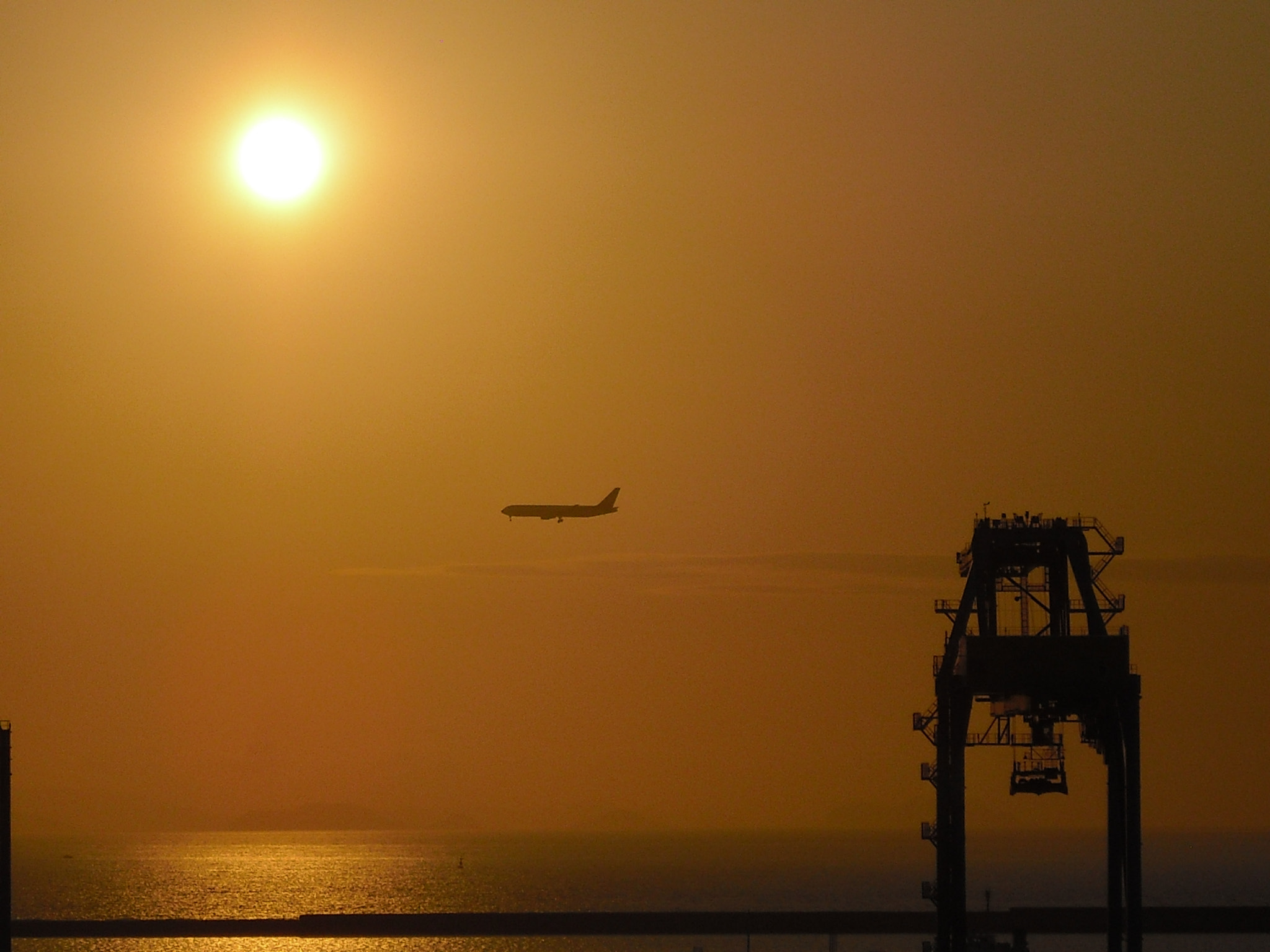 CASIO EX-Z19 sample photo. Landing photography