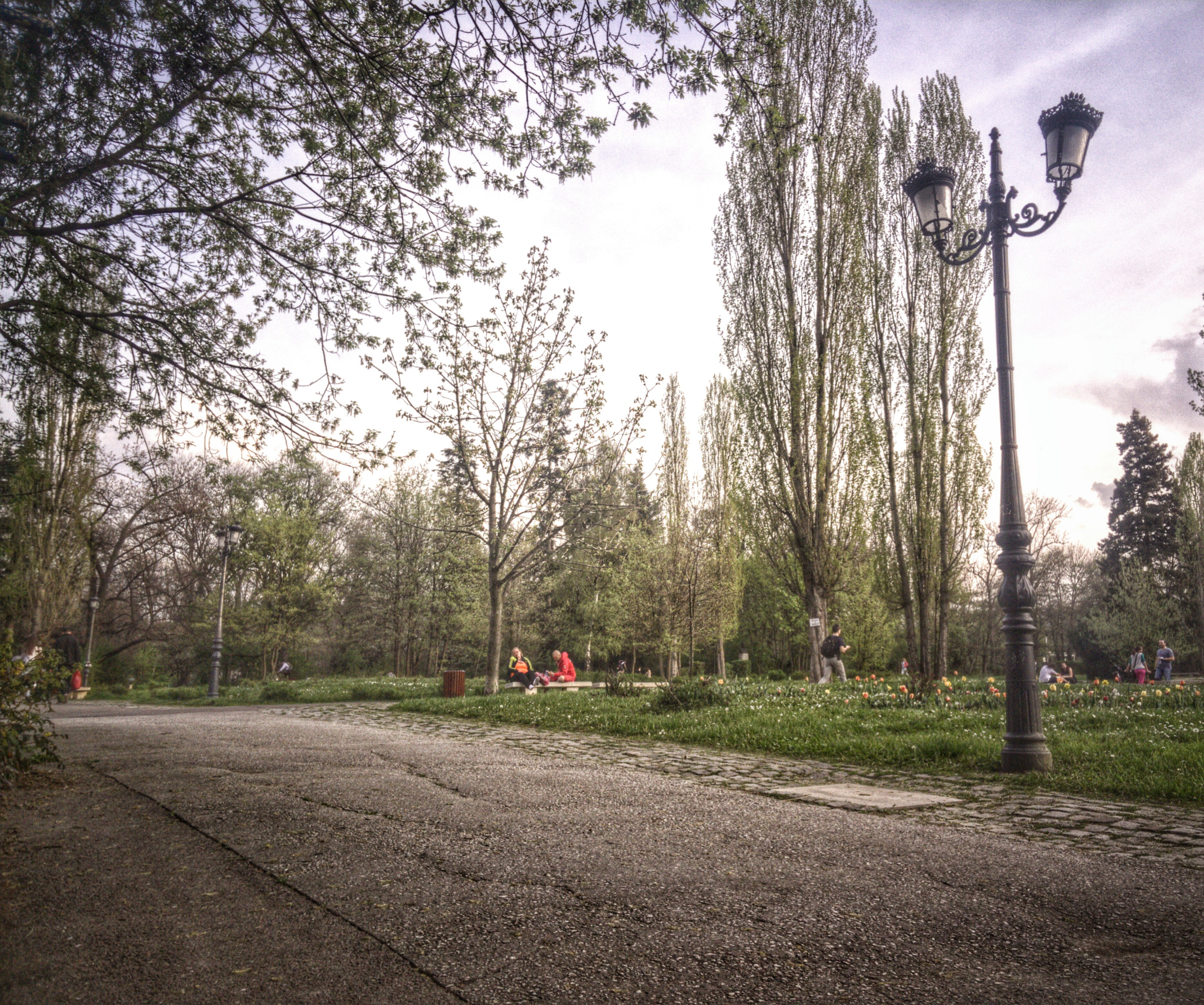 OnePlus One A0001 sample photo