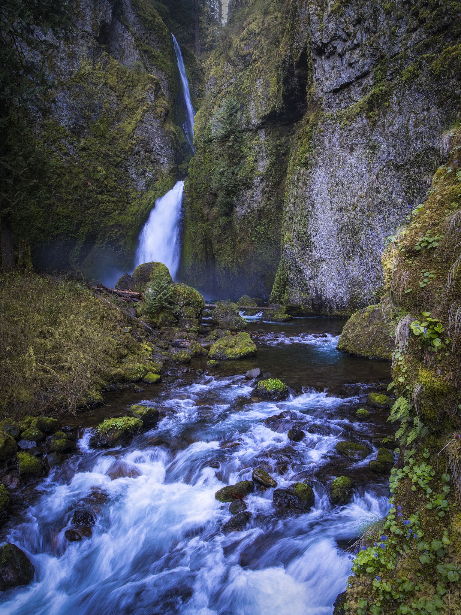 Pentax 645Z sample photo. Wahclella falls photography