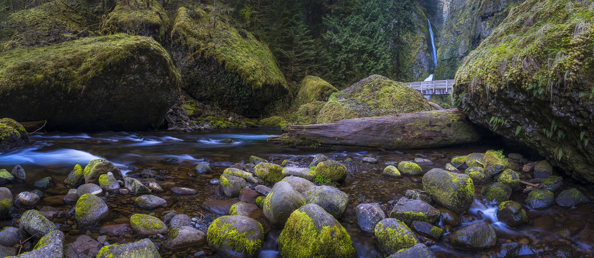 Pentax 645Z + smc PENTAX-FA 645 35mm F3.5 AL [IF] sample photo. Wahclella falls pano photography