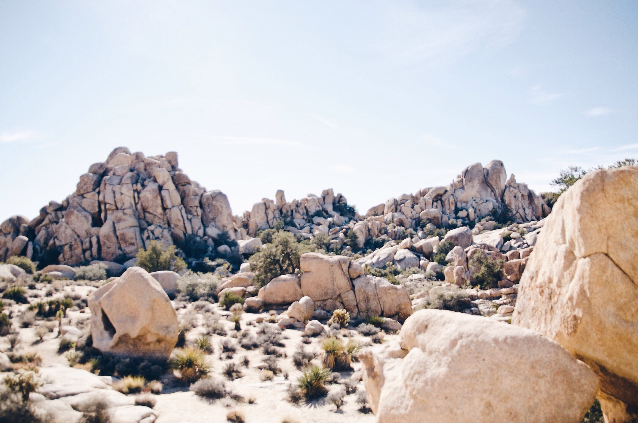 Sigma 17-70mm F2.8-4.5 DC Macro Asp. IF sample photo. Joshua tree nationalpark, ca photography