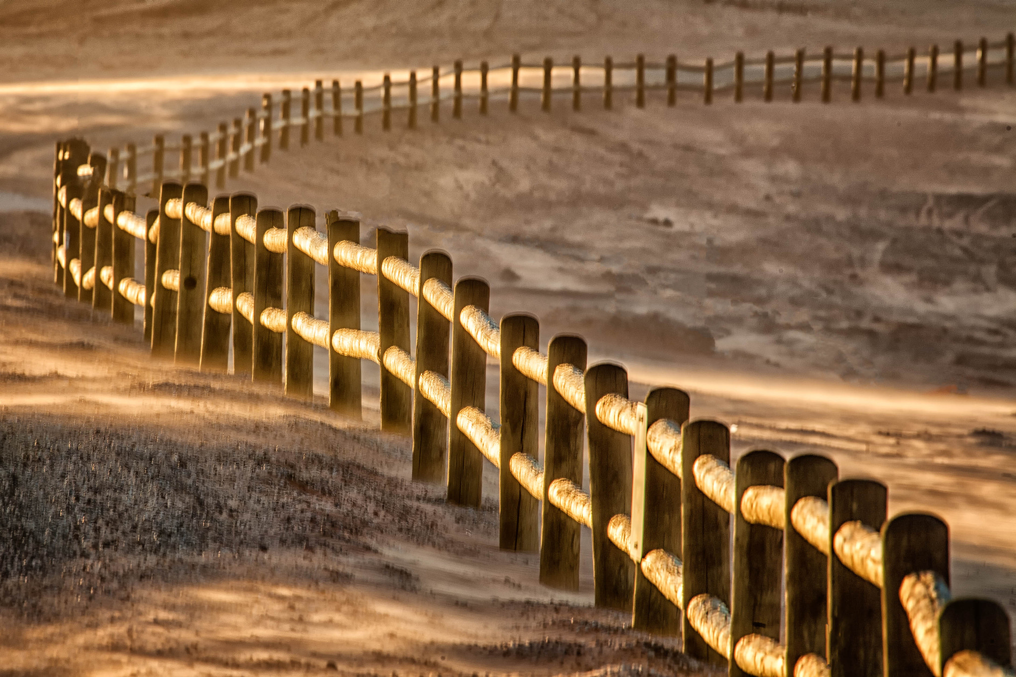 Canon EF 100-400mm F4.5-5.6L IS USM sample photo. Sand hollow photography