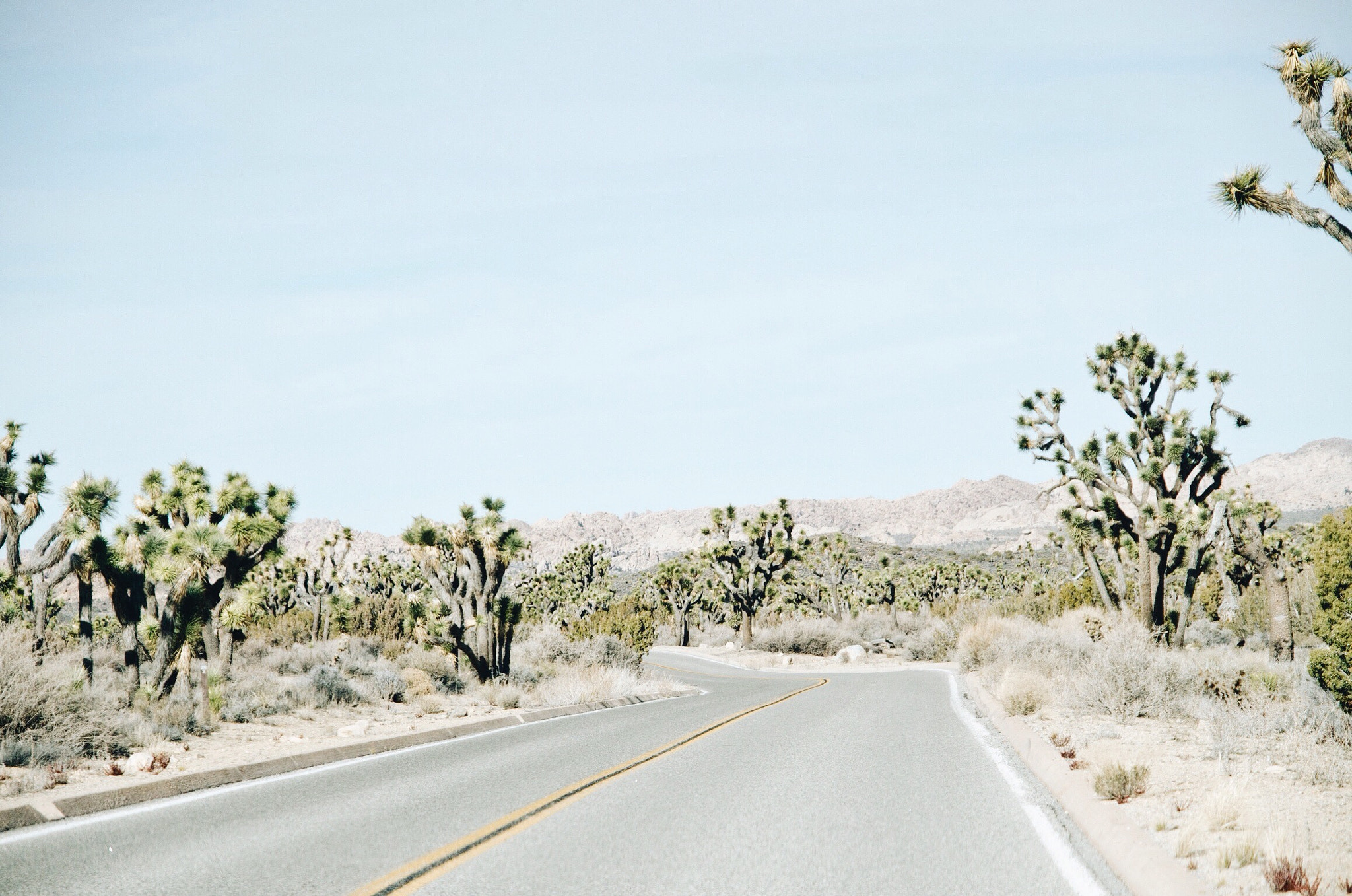 Sigma 17-70mm F2.8-4.5 DC Macro Asp. IF sample photo. Joshua tree nationalpark, ca photography