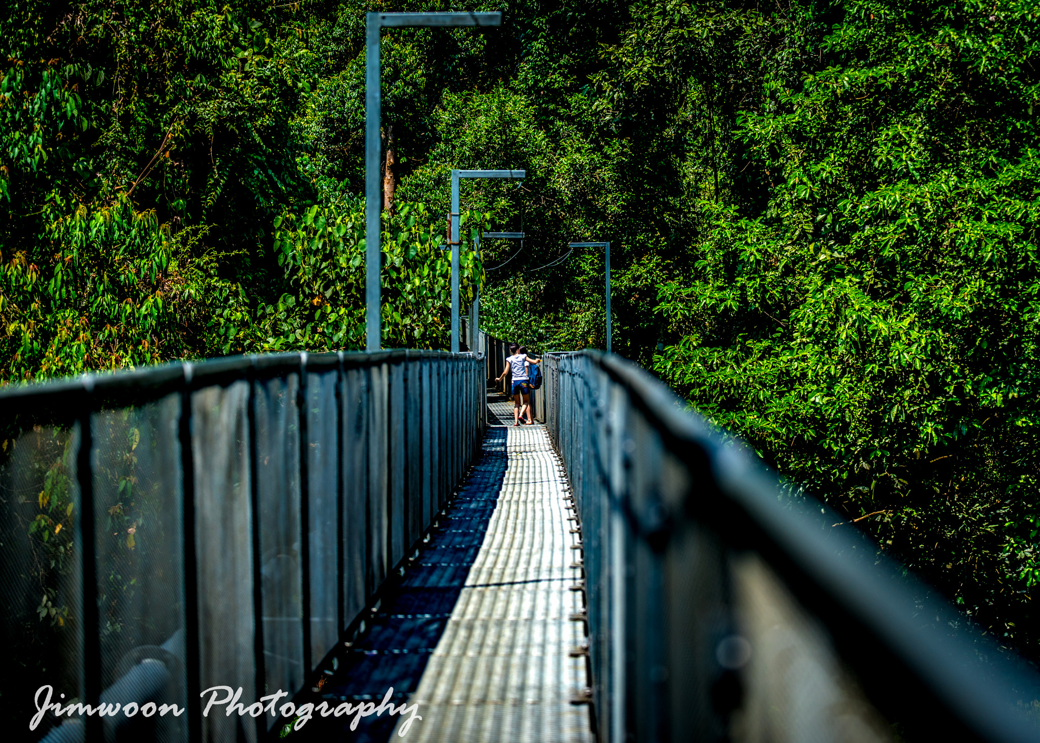 AF-S Zoom-Nikkor 80-200mm f/2.8D IF-ED sample photo. Escape from pollution  photography
