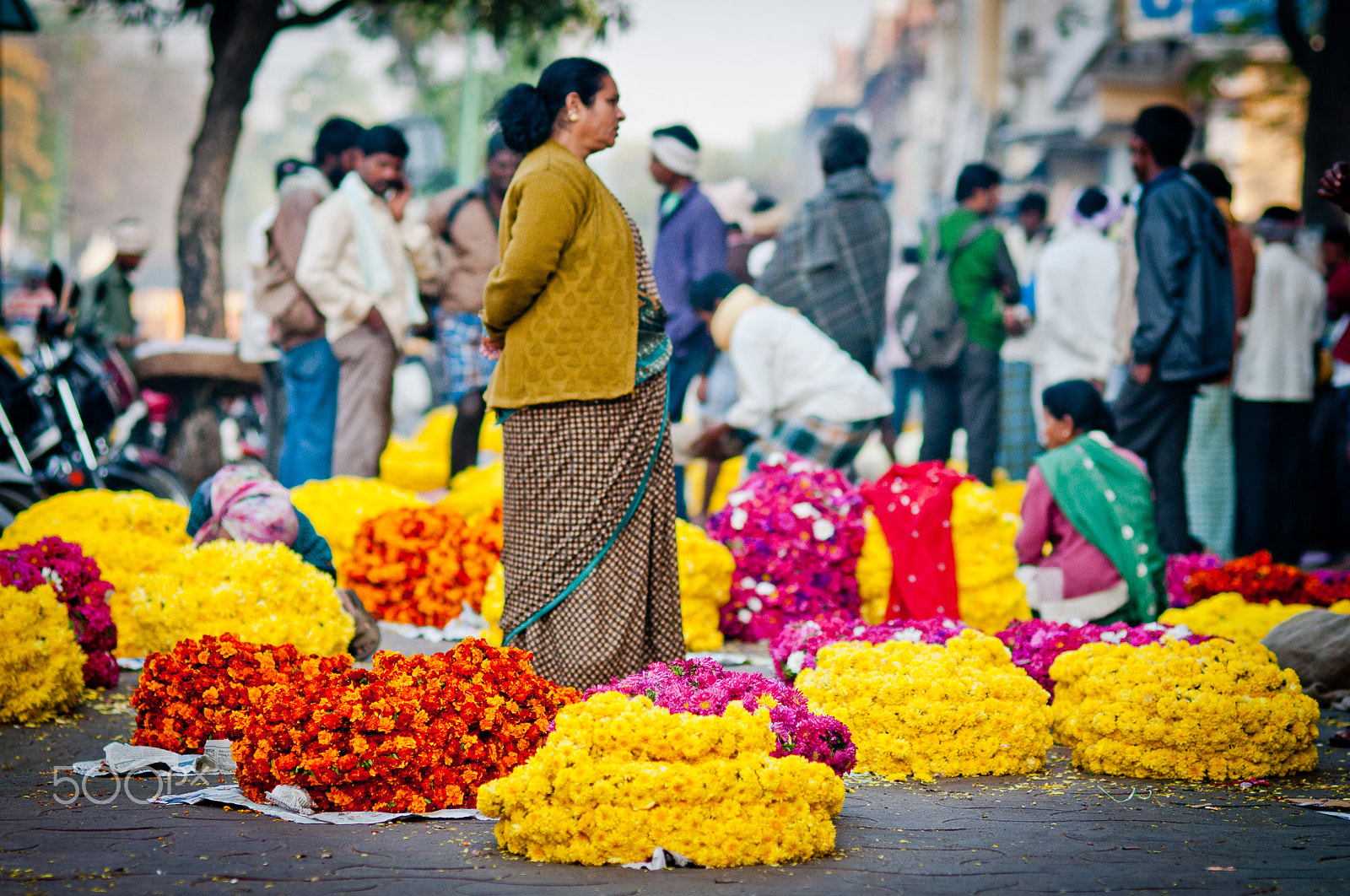 Nikon D300 + Nikon AF Nikkor 85mm F1.8D sample photo. From mysuru photography