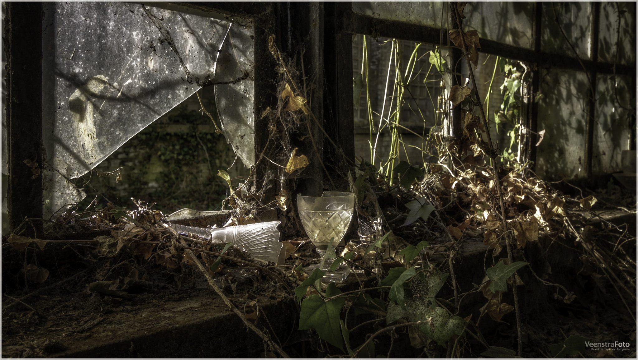 Tokina AT-X Pro 12-24mm F4 (IF) DX sample photo. Cristallerie val saint lambert photography