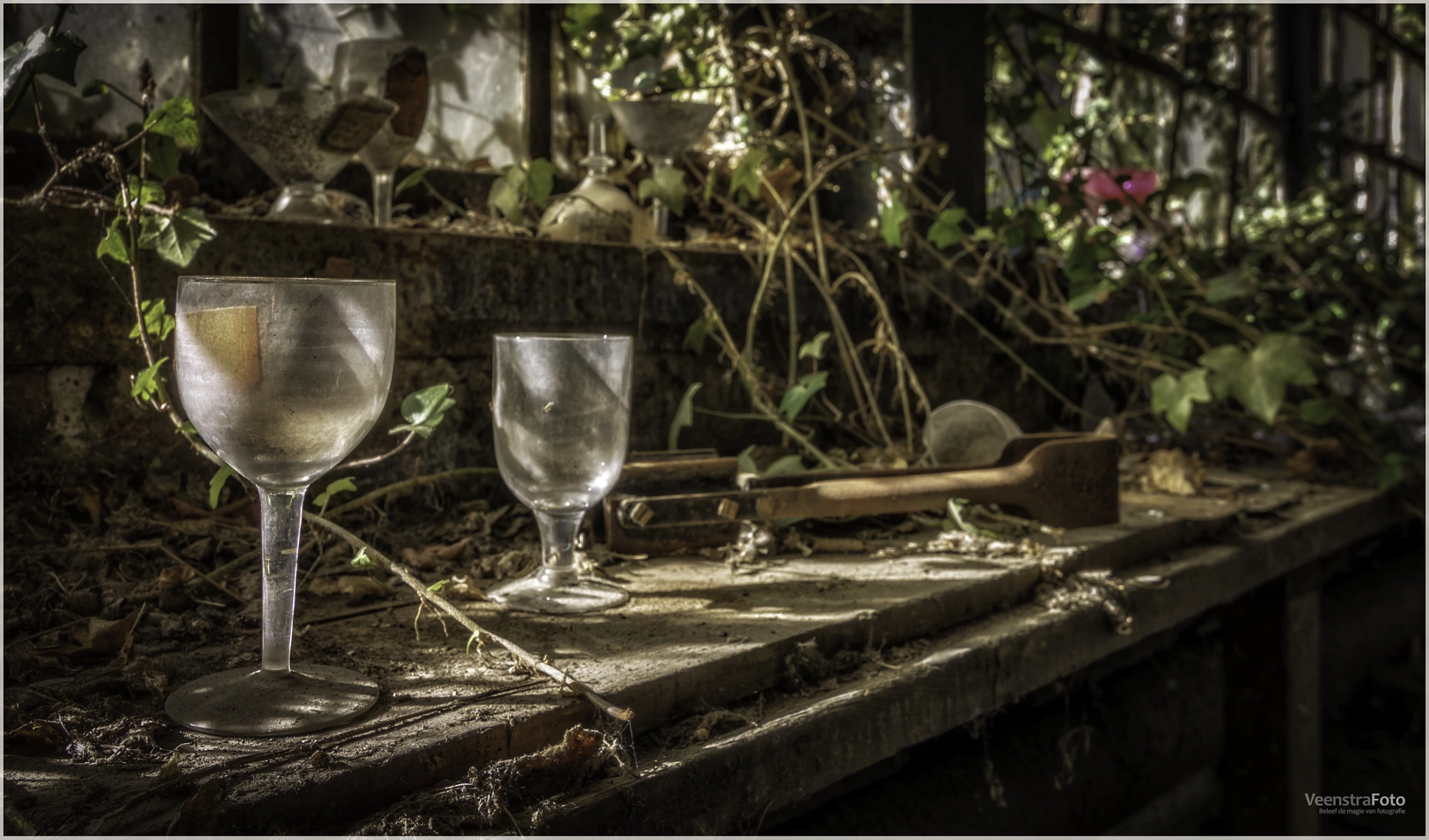 Tokina AT-X Pro 12-24mm F4 (IF) DX sample photo. Cristallerie val saint lambert photography