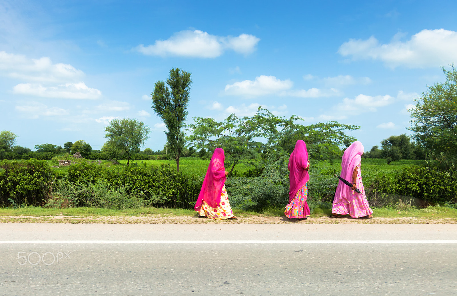 Canon EOS 5D Mark II + Canon EF 16-35mm F2.8L USM sample photo. Group of indian women photography