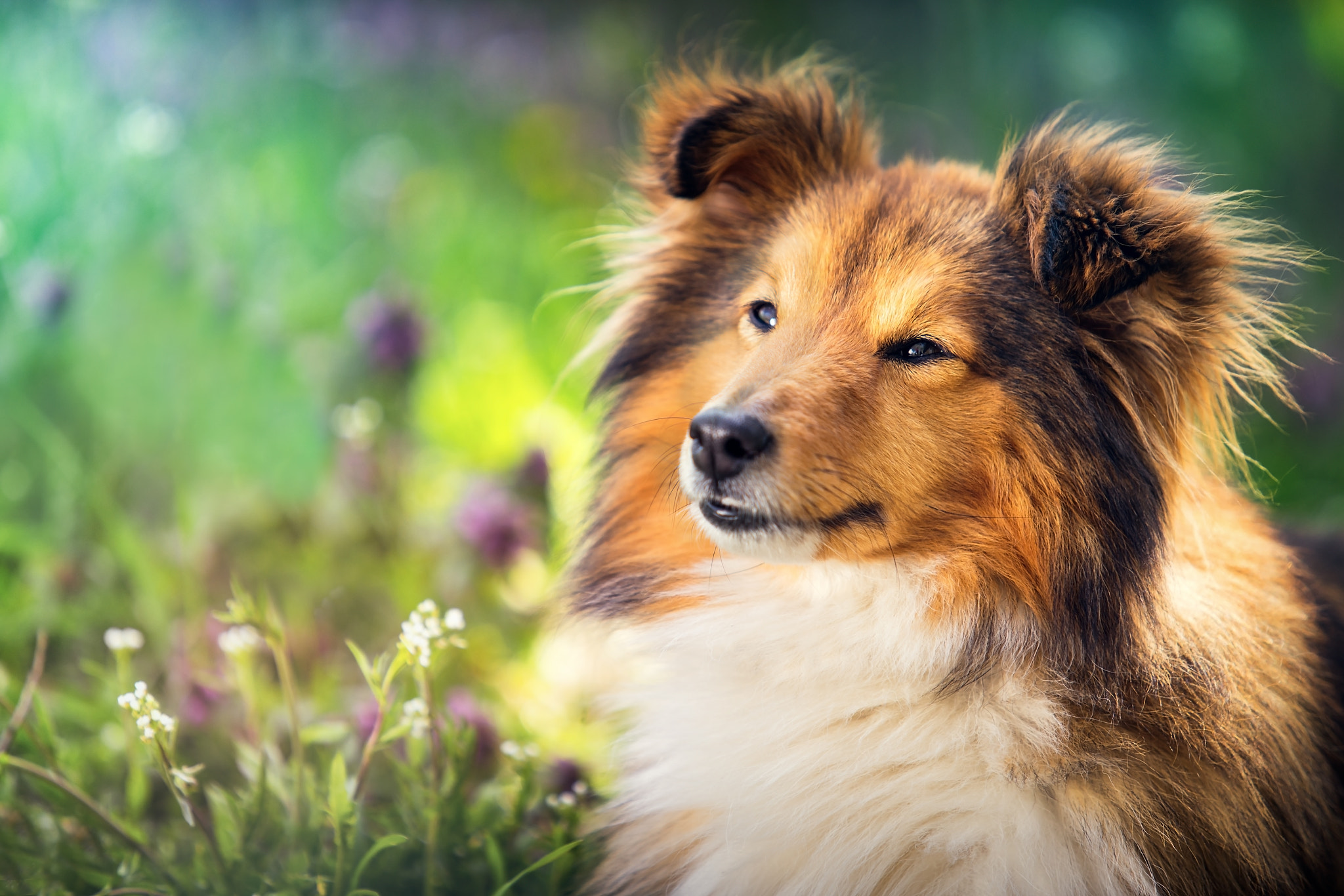 Canon EF 70-200mm F2.8L USM sample photo. Spring photography