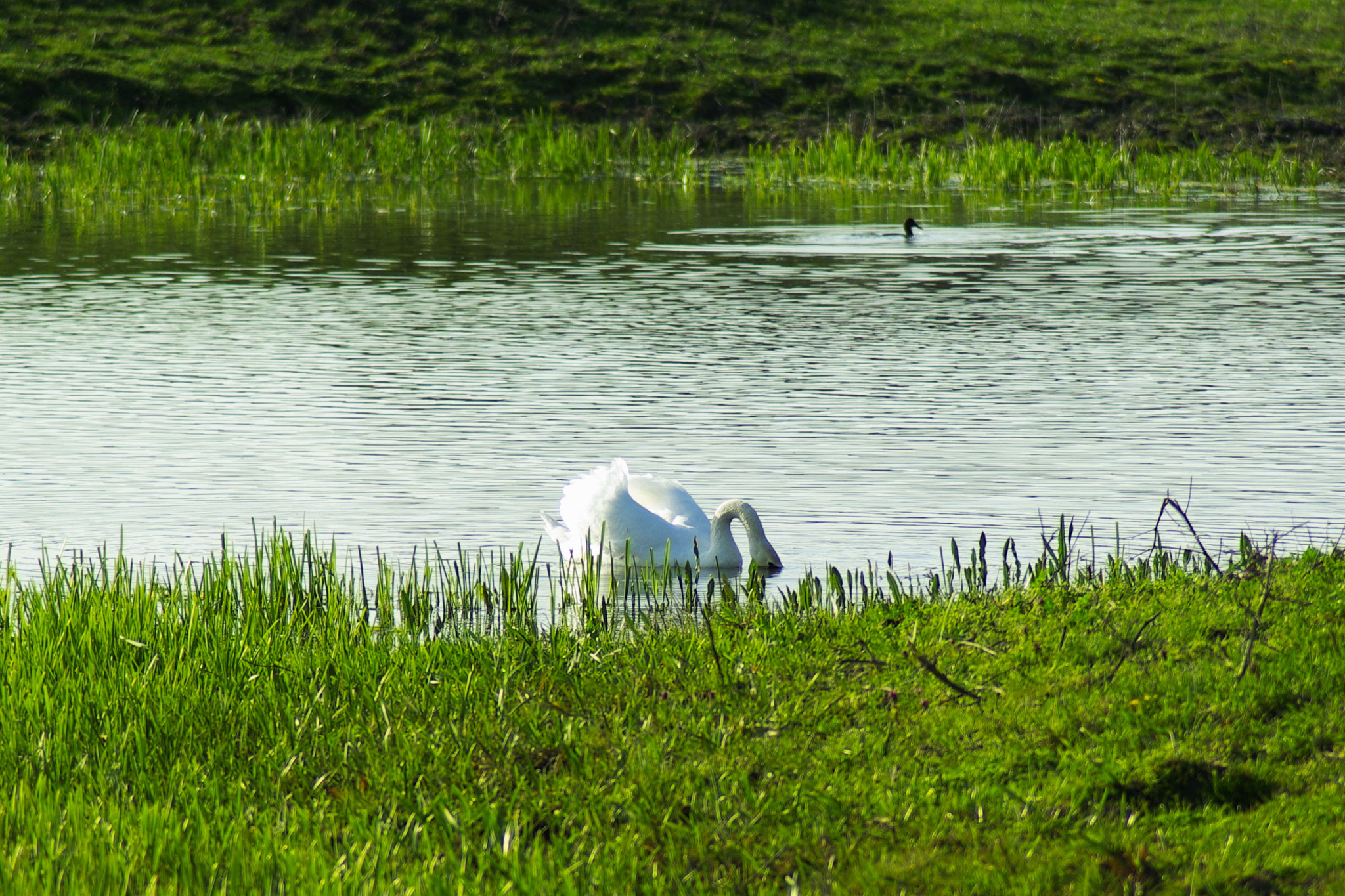 Tamron AF 70-300mm F4-5.6 Di LD Macro sample photo. Hunting photography