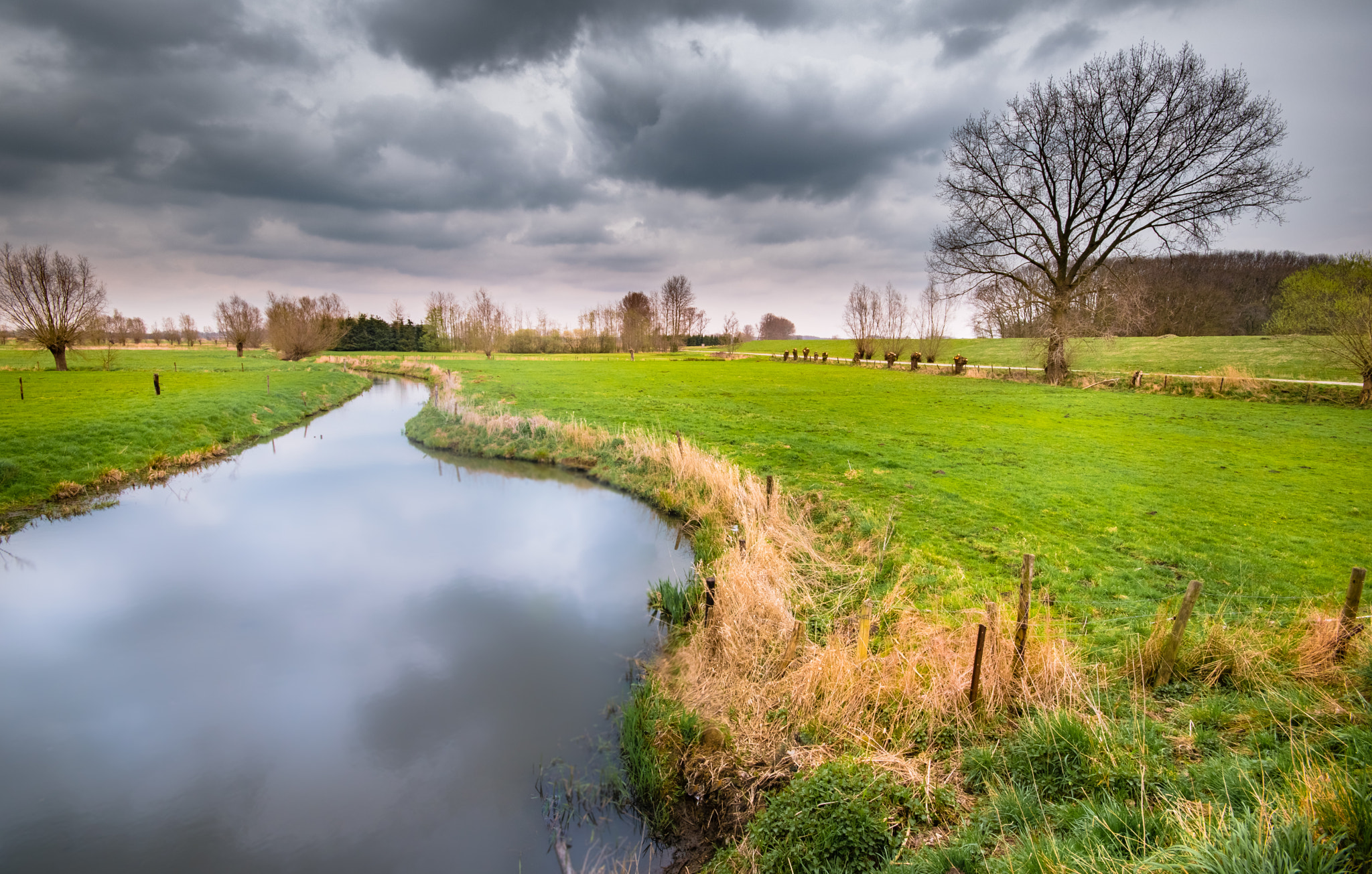 Sigma 10-20mm F4-5.6 EX DC HSM sample photo. Kalkense meersen photography