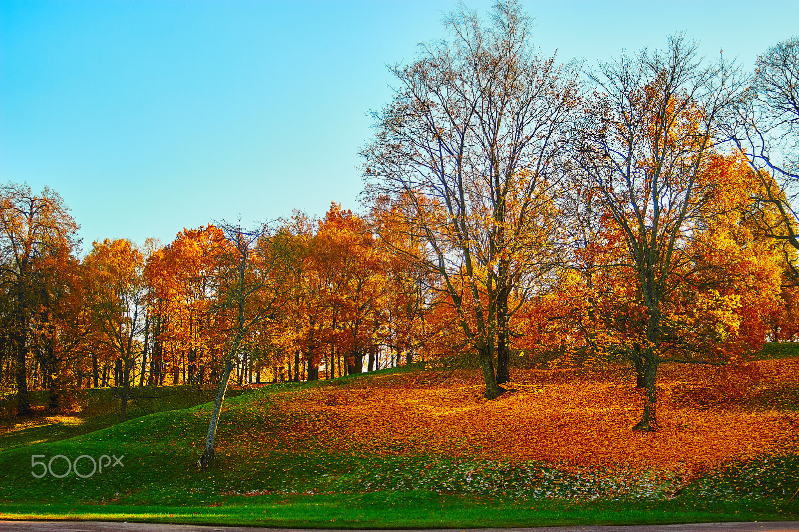 Canon EF 35-105mm f/3.5-4.5 sample photo. Autumn in st. petersburg photography