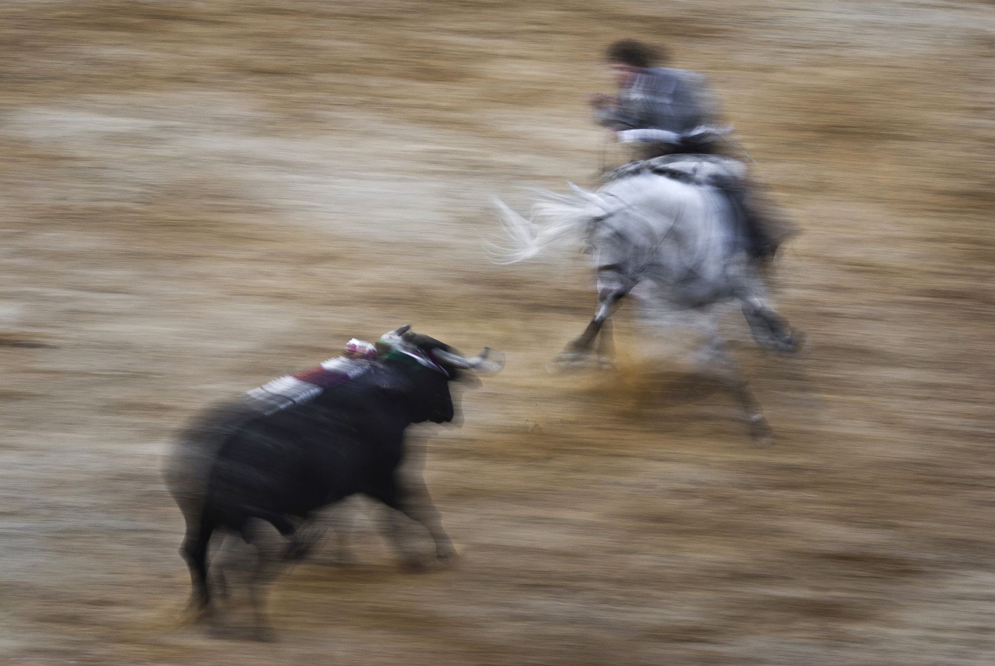Sigma 150-500mm F5-6.3 DG OS HSM sample photo. Rejones photography