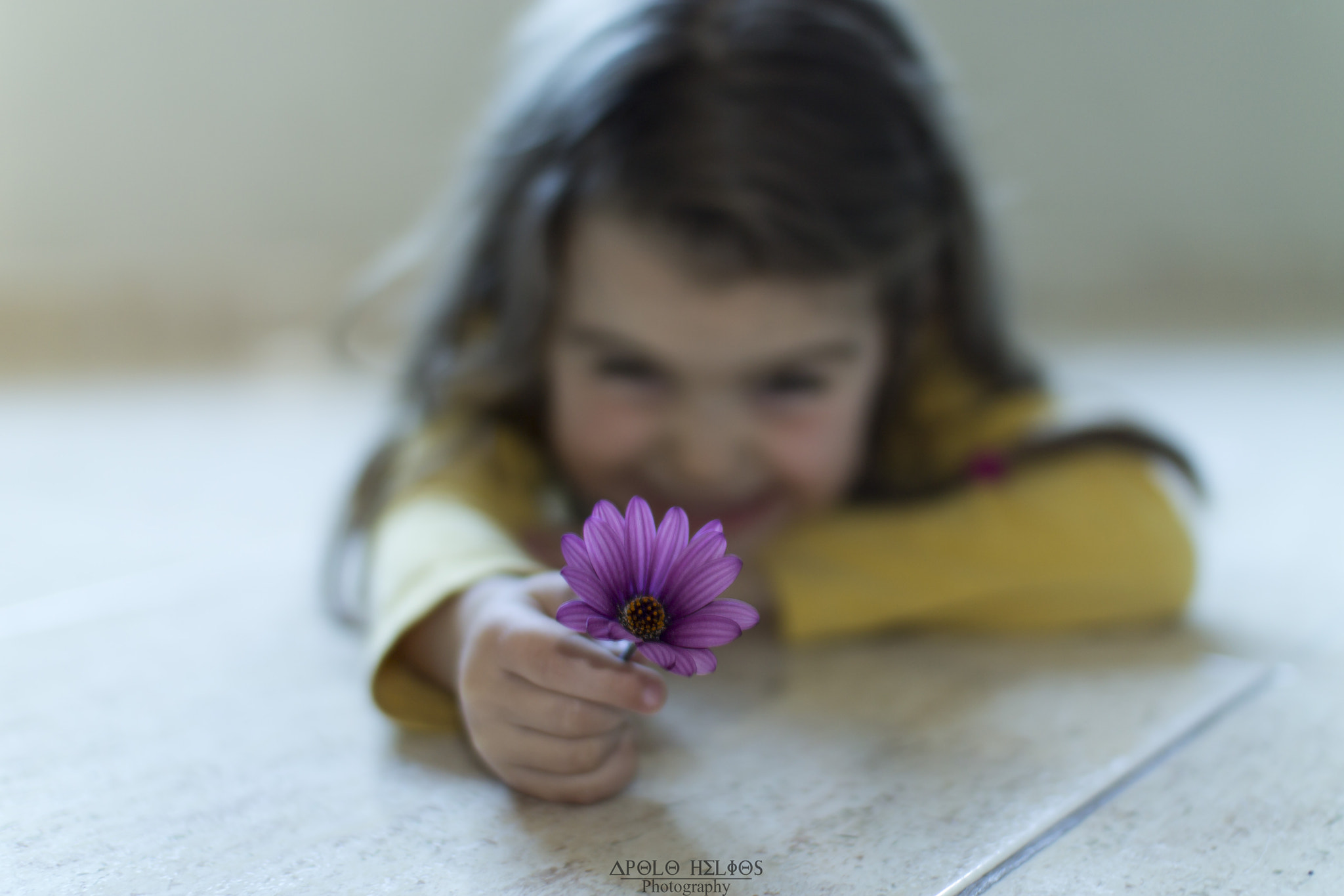 Sigma 30mm F1.4 EX DC HSM sample photo. Behind a flower. photography