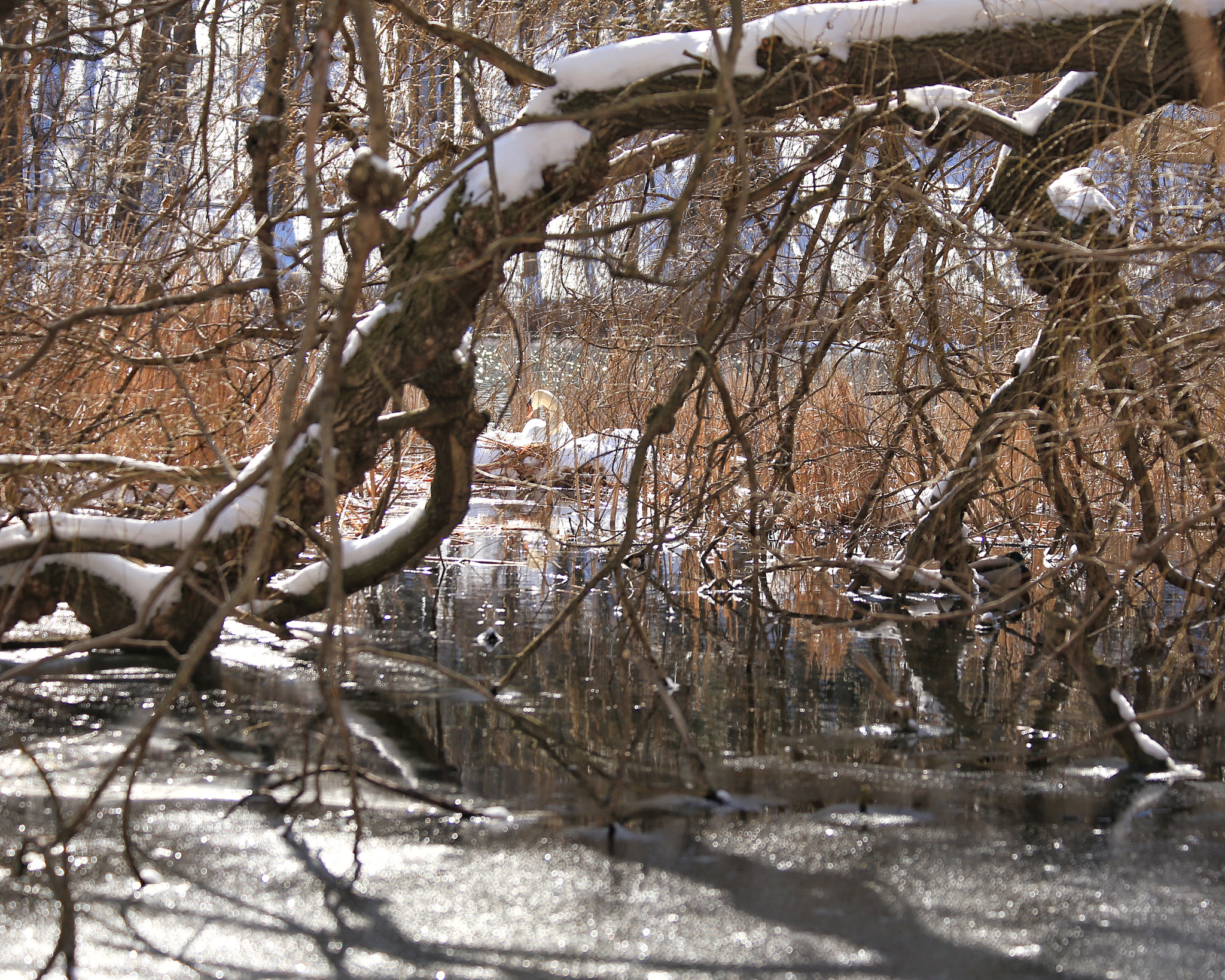 Canon EF 70-300mm F4-5.6 IS USM sample photo
