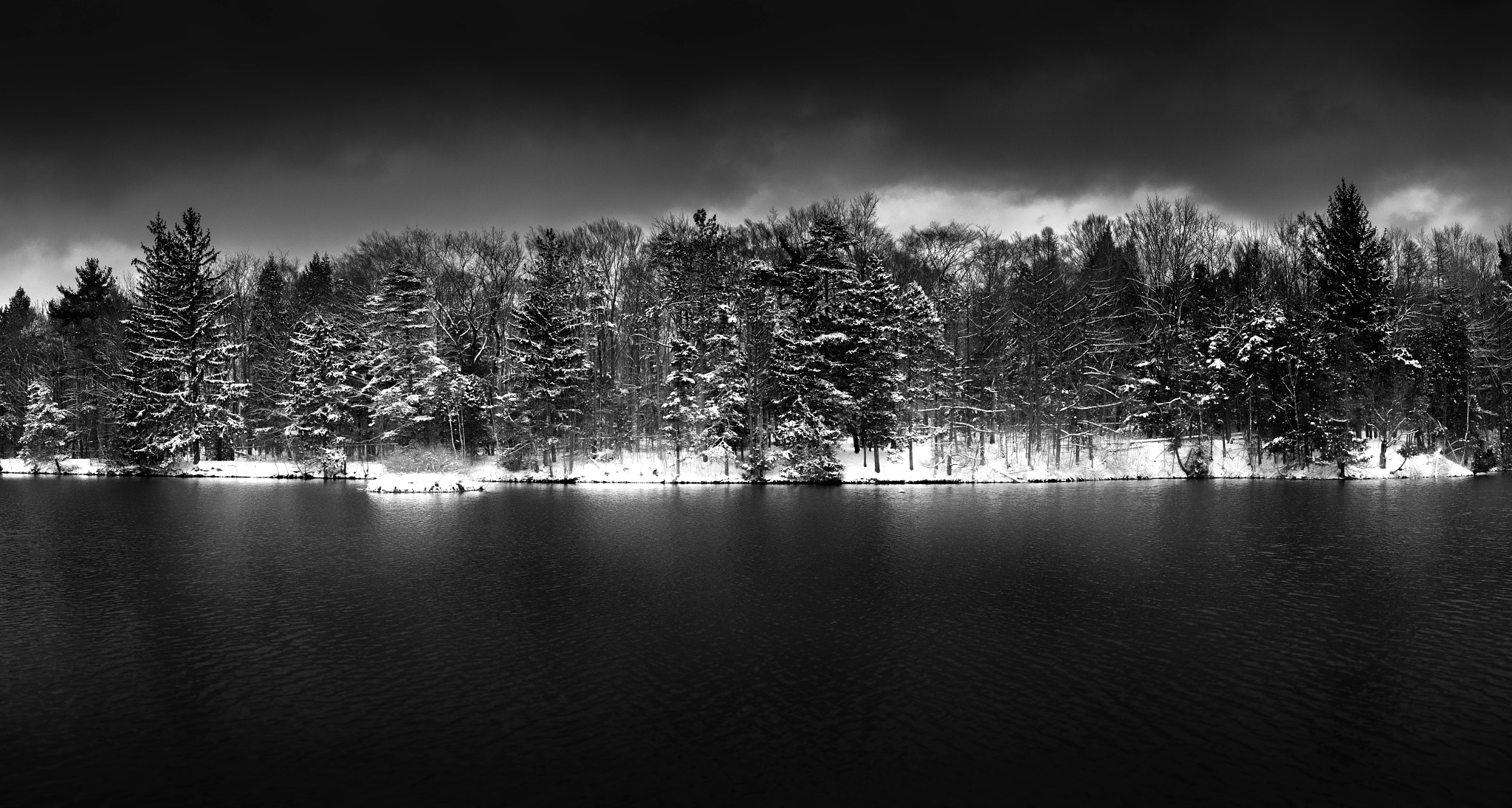 Nikon D750 + Samyang 35mm F1.4 AS UMC sample photo. Commissioners cabin pond (b&w) photography