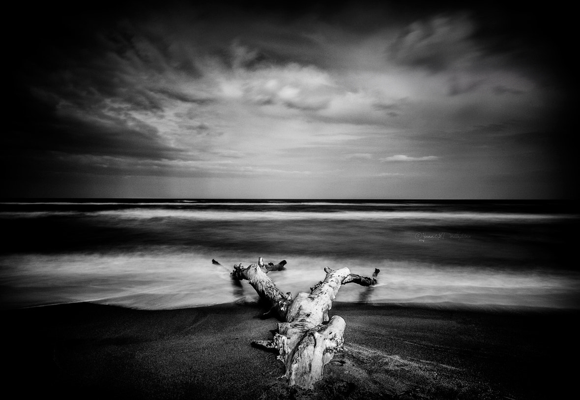 Tokina AT-X Pro 12-24mm F4 (IF) DX sample photo. L'arburu mortu photography