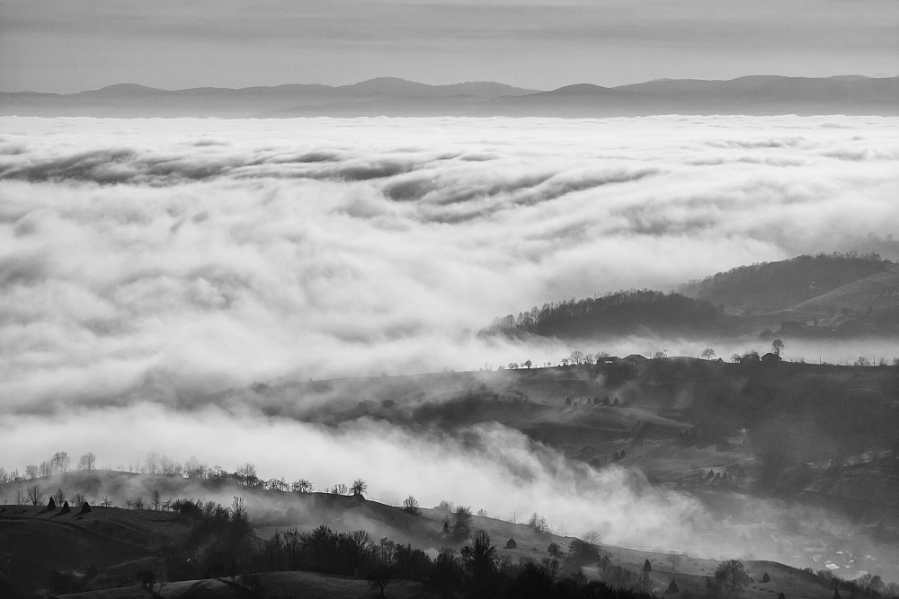 Canon EOS 40D sample photo. Land of confusion photography