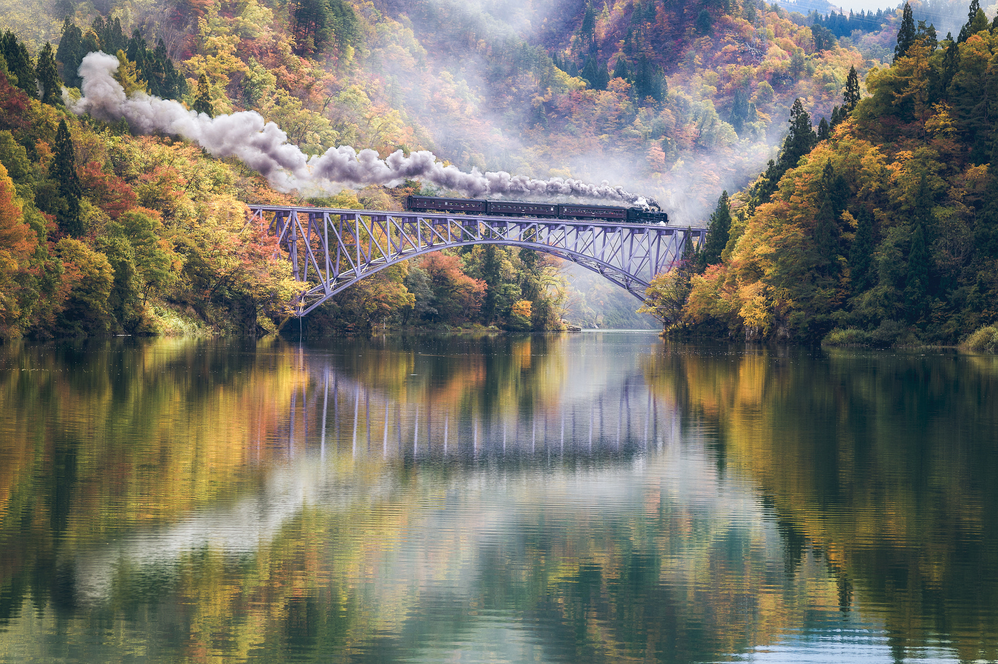 ZEISS Makro-Planar T* 100mm F2 sample photo. Autumn journey photography