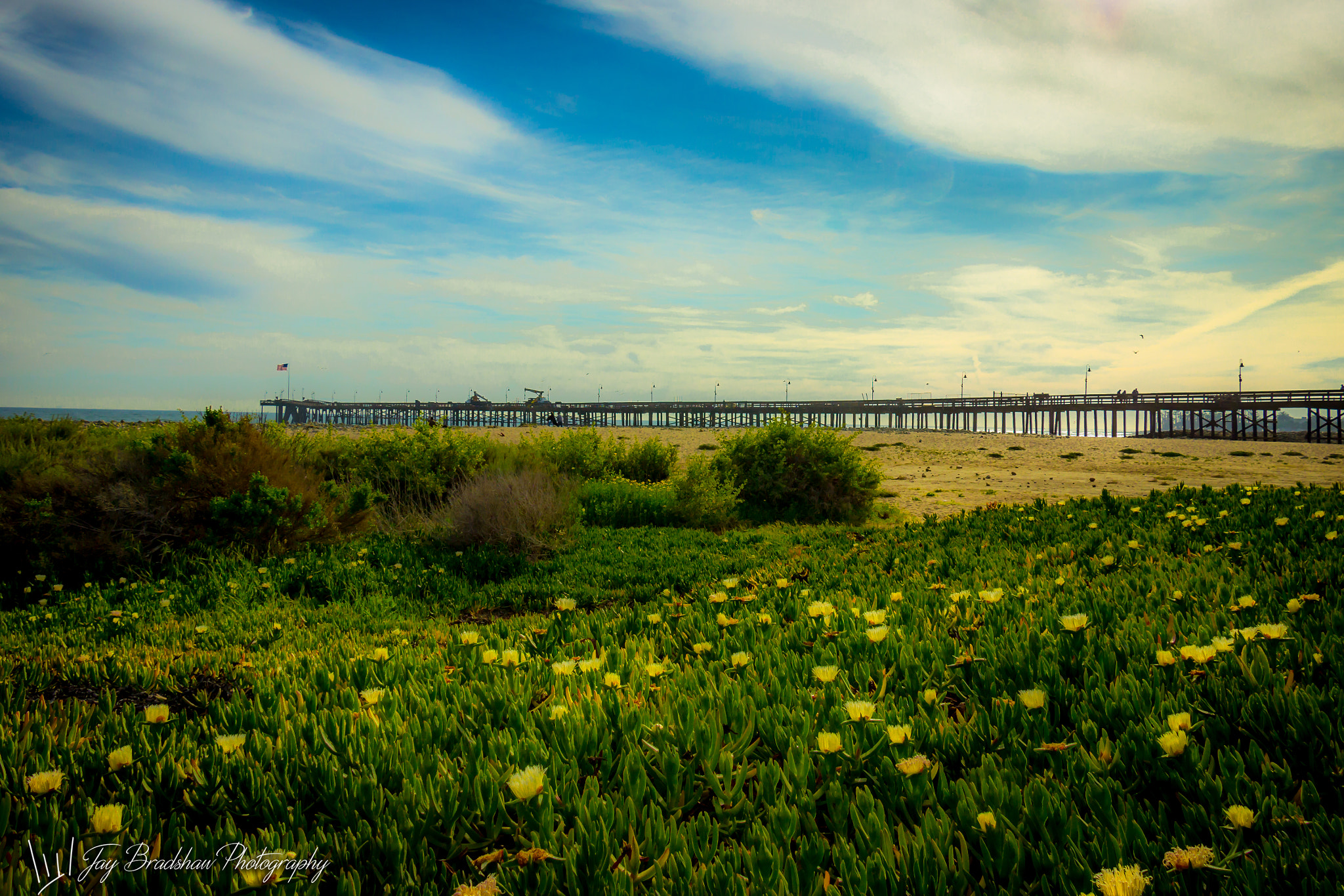 Canon EF-S 18-135mm F3.5-5.6 IS STM sample photo. Mcdreamy photography