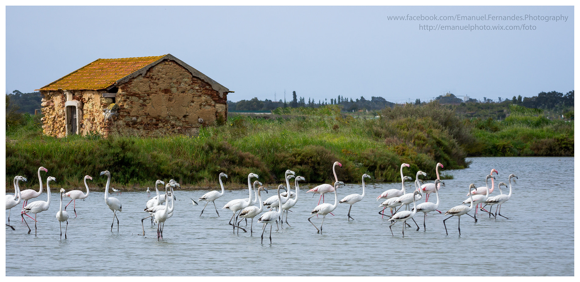 Sigma AF 50-500mm F4-6.3 EX DG APO sample photo. Paradise of birds ! photography