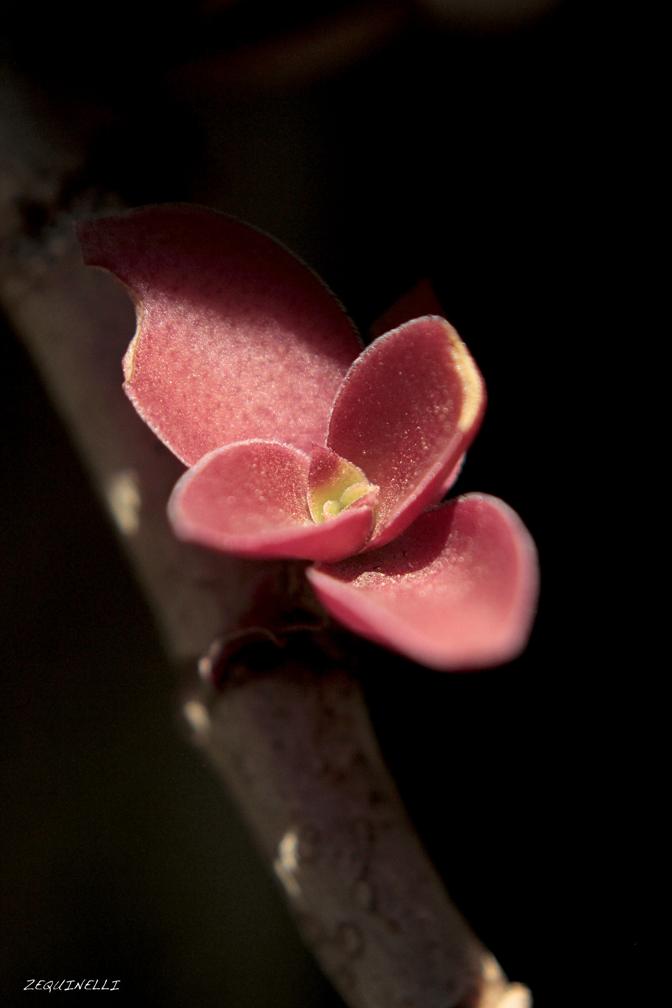 Sigma 28-80mm f/3.5-5.6 II Macro sample photo. Sola, pasan las horas photography