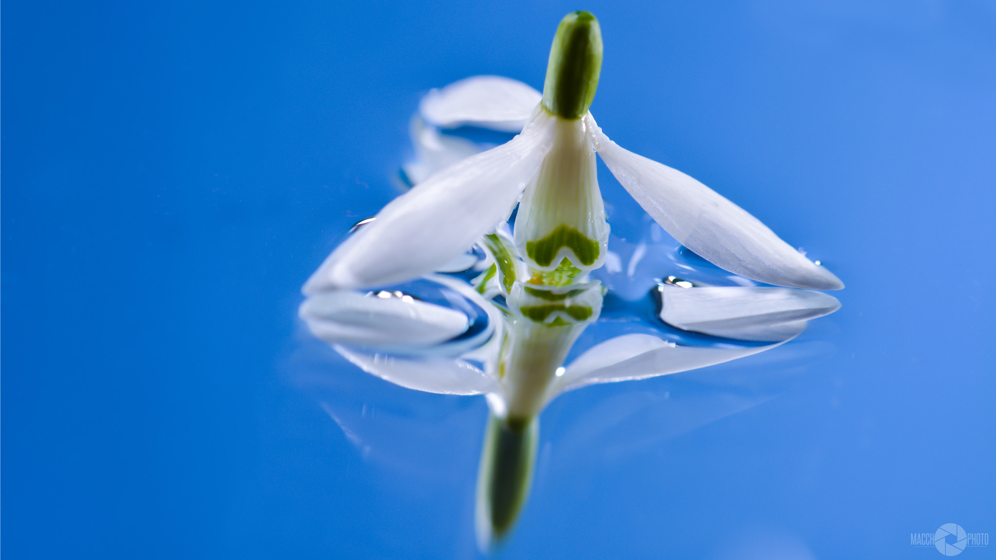 Nikon AF-S Micro-Nikkor 60mm F2.8G ED sample photo. Snowdrop on the water photography