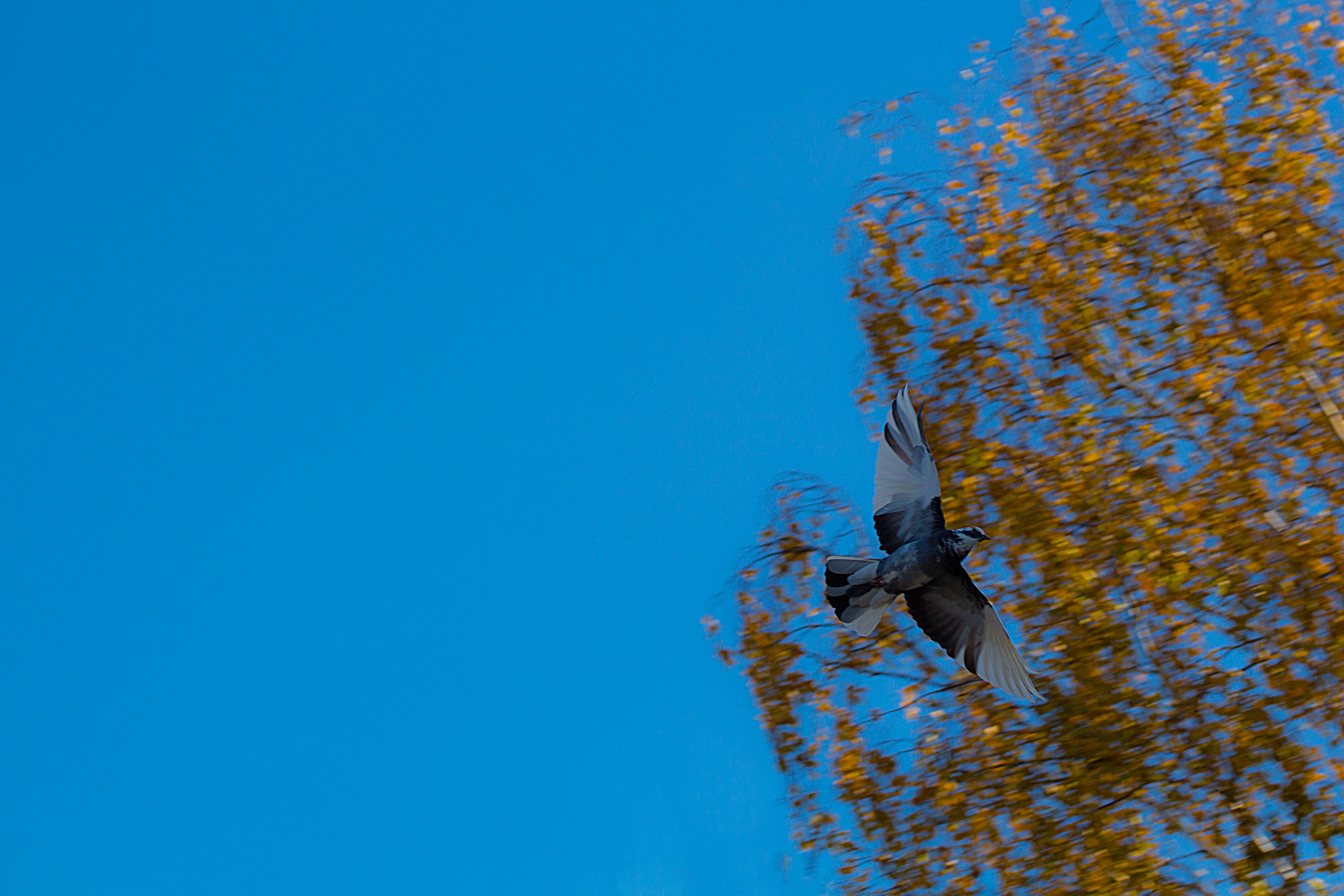 Tamron SP 35mm F1.8 Di VC USD sample photo. In flight photography