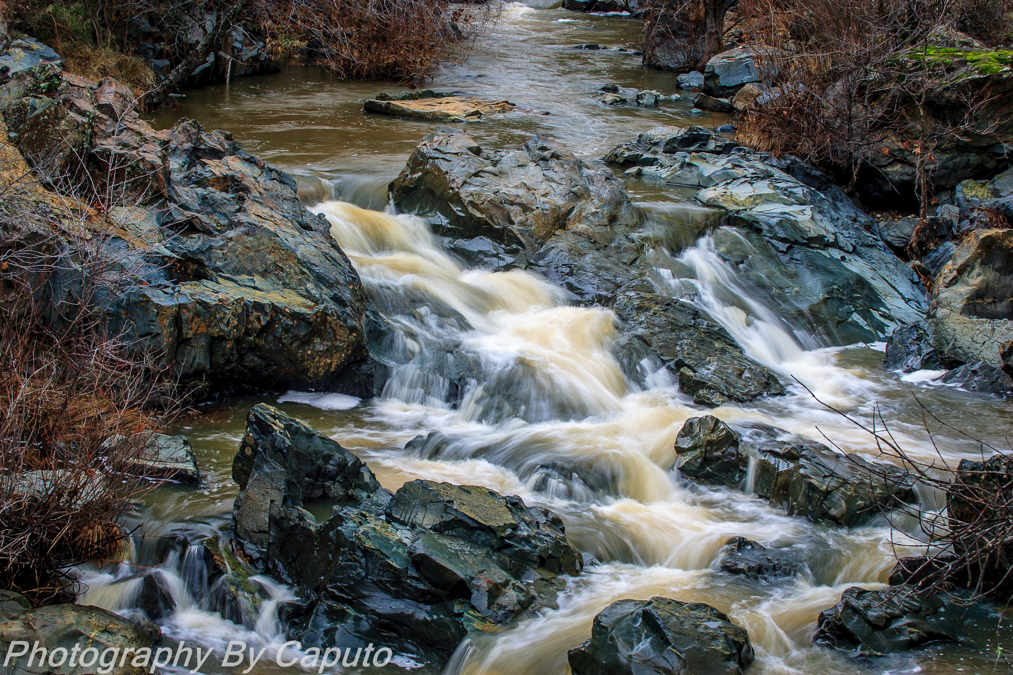 Canon EF 80-200mm f/2.8L sample photo. Bangor creek photography