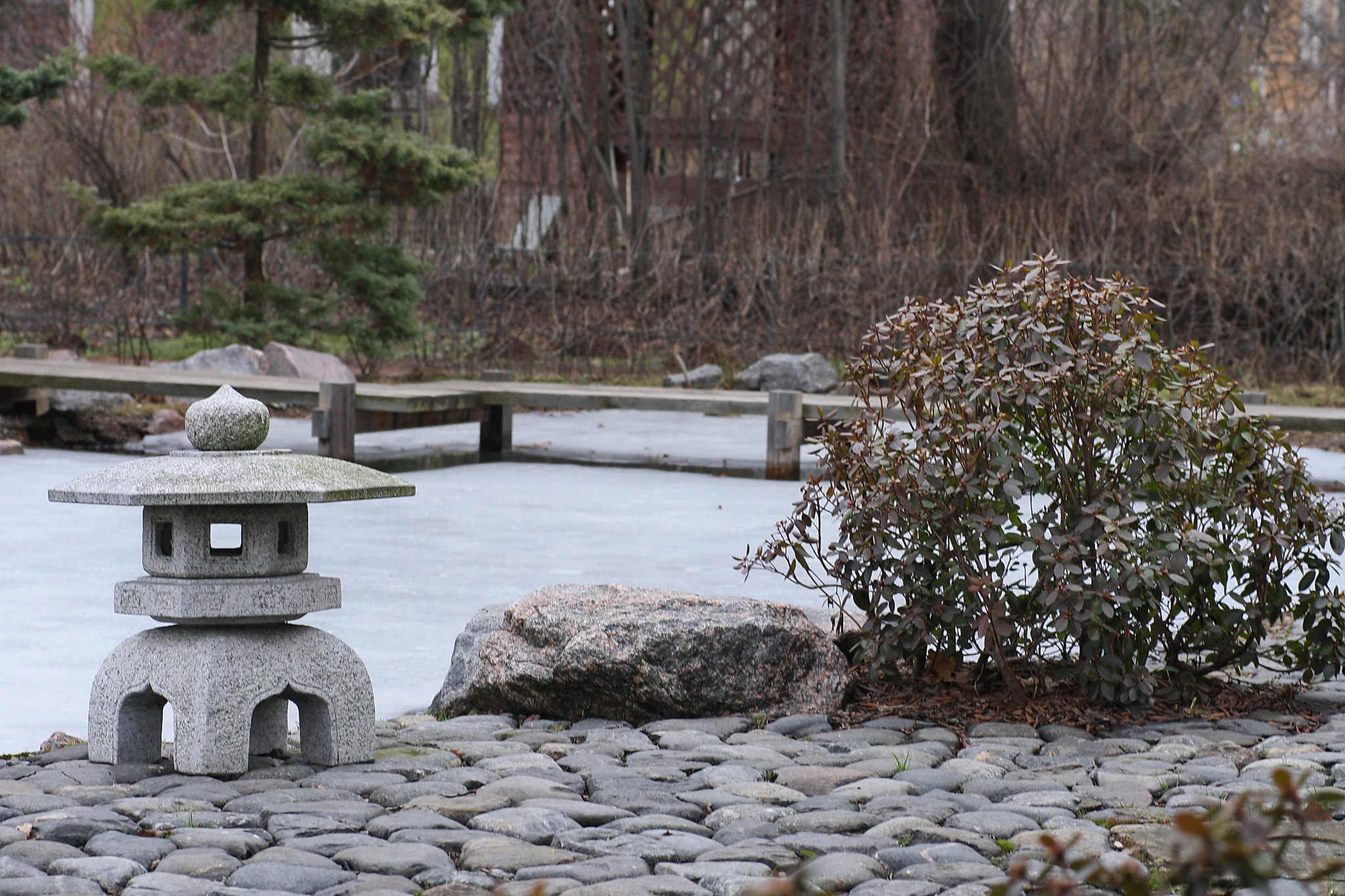 Sigma 50mm f/1.4 EX DG HSM + 1.4x sample photo. Japanese garden photography