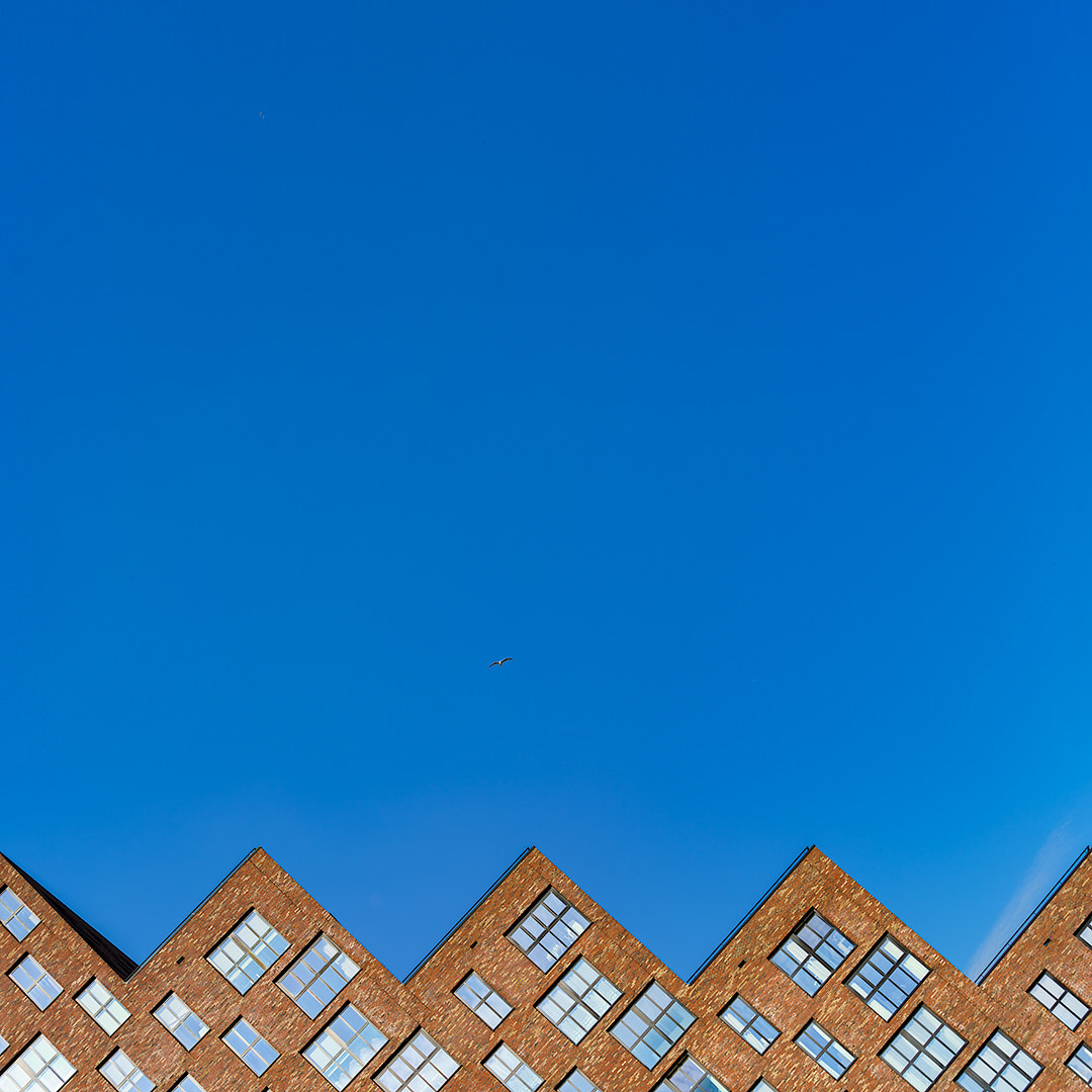 Sony a7R II + Canon EF 70-200mm F4L IS USM sample photo. The hague somewhat different rooftops photography