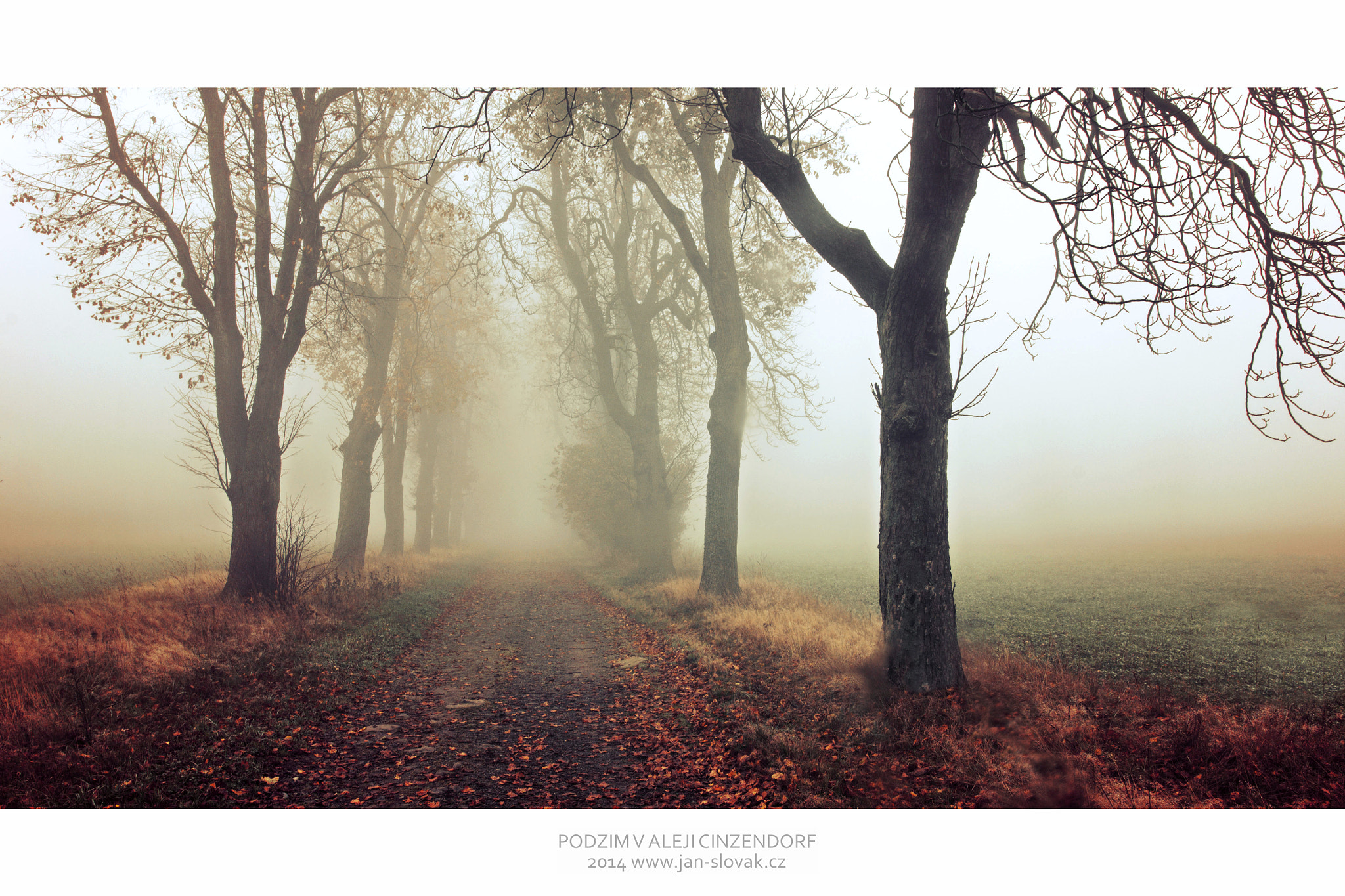 Nikon D3100 + Sigma 18-35mm F1.8 DC HSM Art sample photo. – kopie () photography