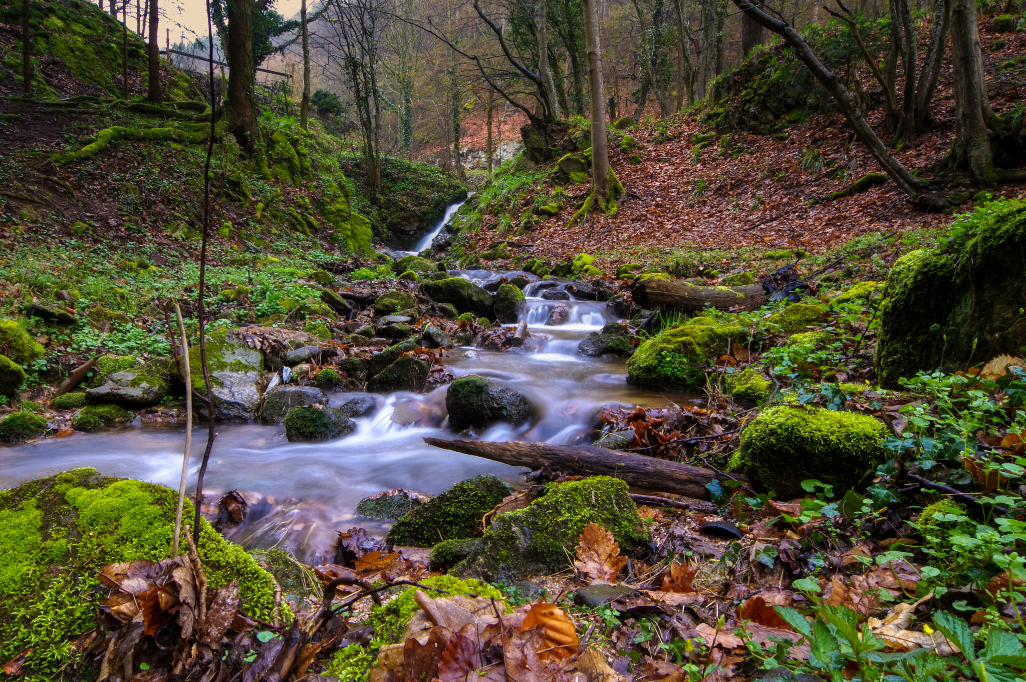 Samsung/Schneider D-XENON 12-24mm F4 ED AL [IF] sample photo. Les voges river photography