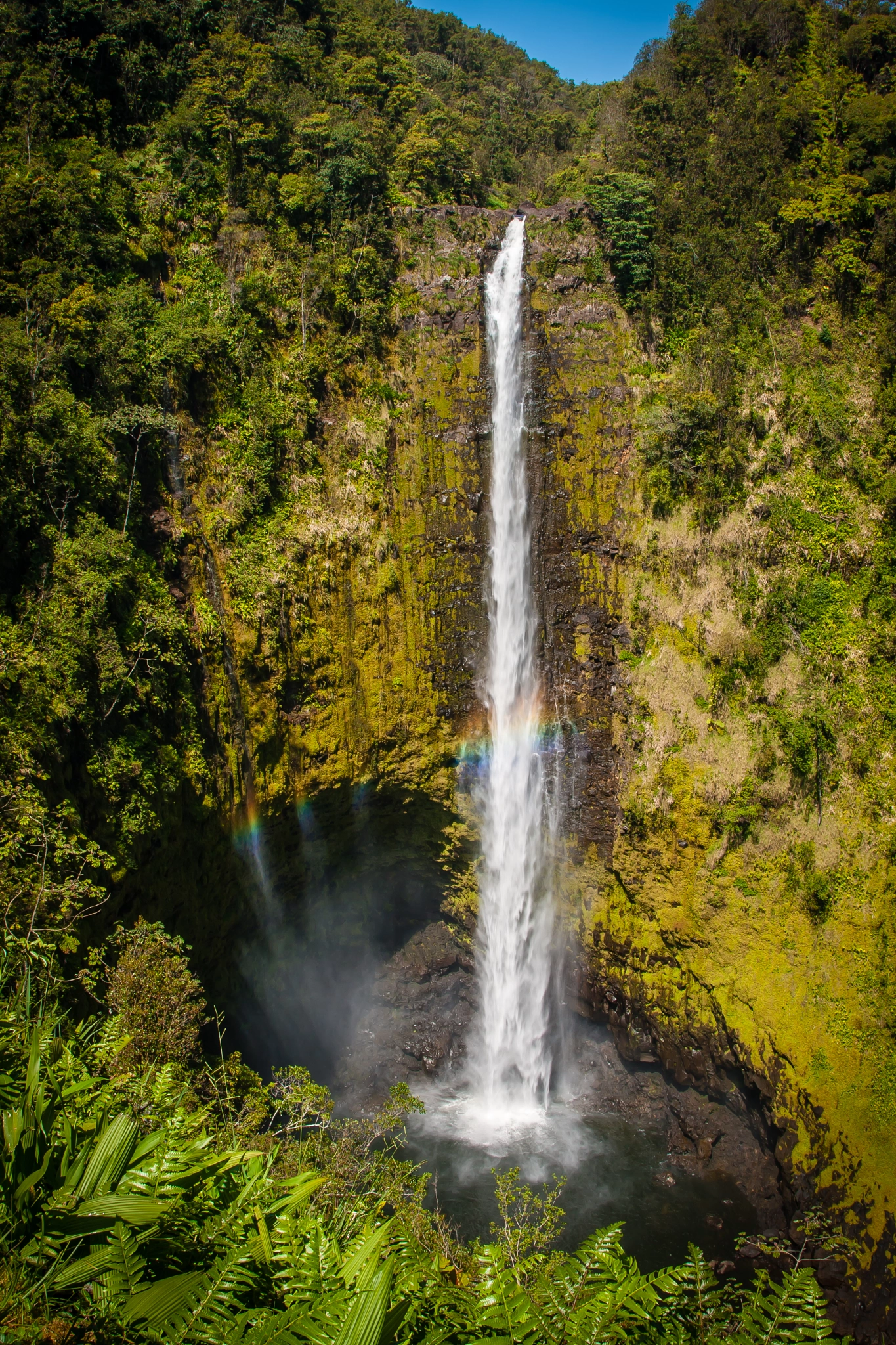 Canon EOS 400D (EOS Digital Rebel XTi / EOS Kiss Digital X) sample photo. Akaka falls photography