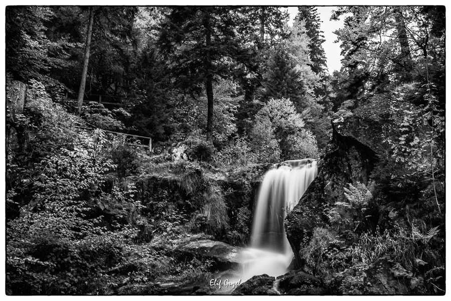 Canon EF-S 18-135mm F3.5-5.6 IS STM sample photo. Triberg germany photography