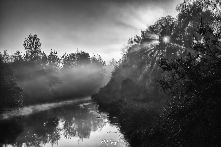 Canon EF-S 18-135mm F3.5-5.6 IS STM sample photo. Sunray and mist photography