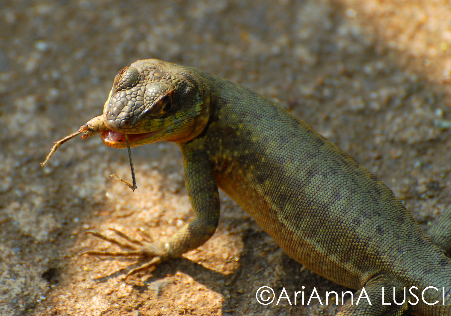 Nikon D200 sample photo. Eating photography