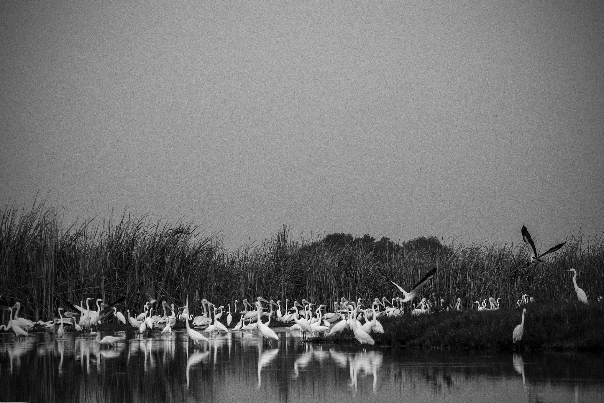AF Zoom-Nikkor 75-300mm f/4.5-5.6 sample photo. Reflejos photography