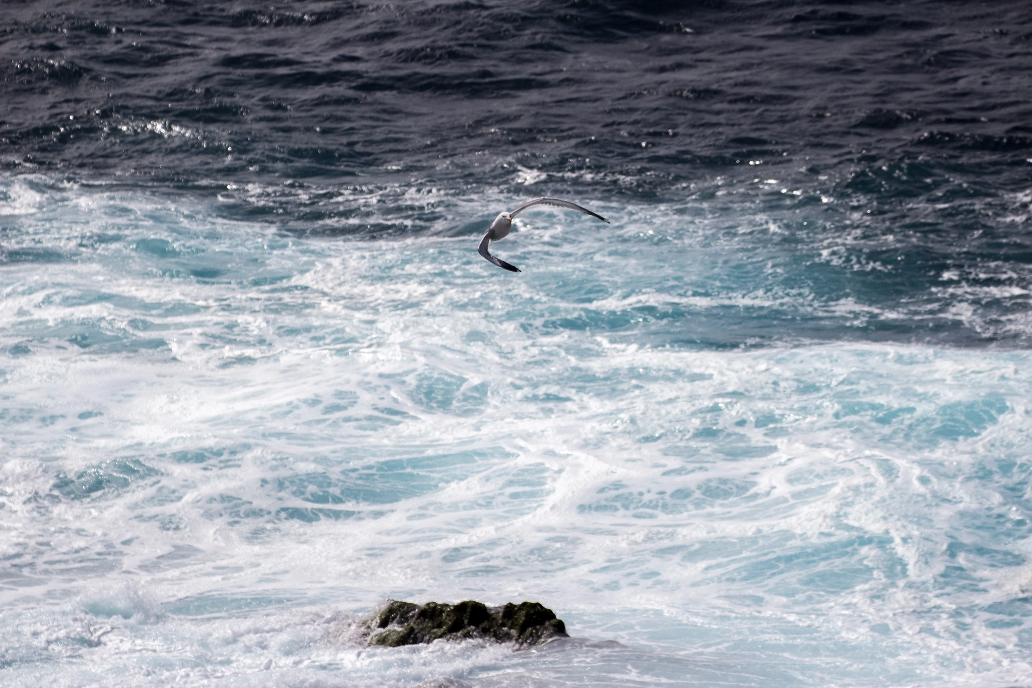 Canon EF 70-300mm F4-5.6L IS USM sample photo. Wavebraker photography