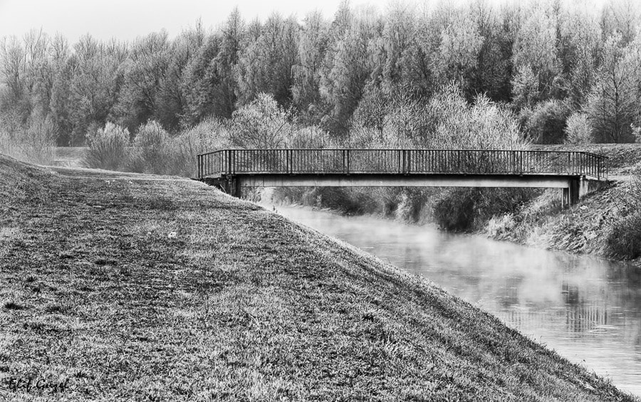 Canon EF-S 18-135mm F3.5-5.6 IS STM sample photo. Freezing fog photography