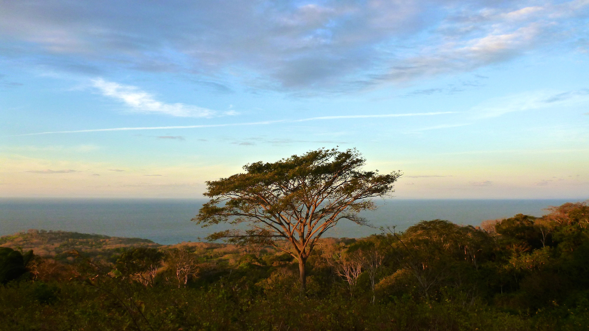 Panasonic DMC-FT3 sample photo. Isla de ometepe, nicaragua photography