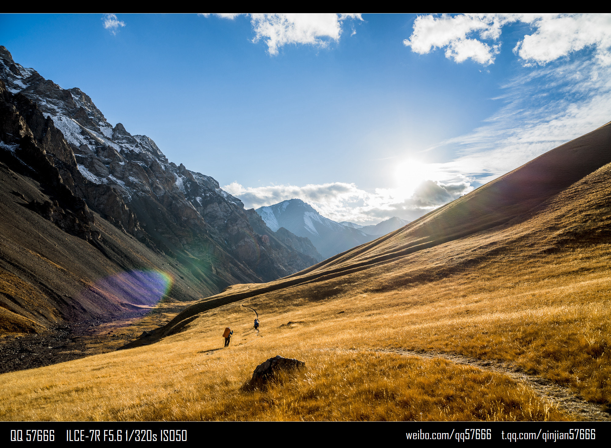 Sony a7R sample photo
