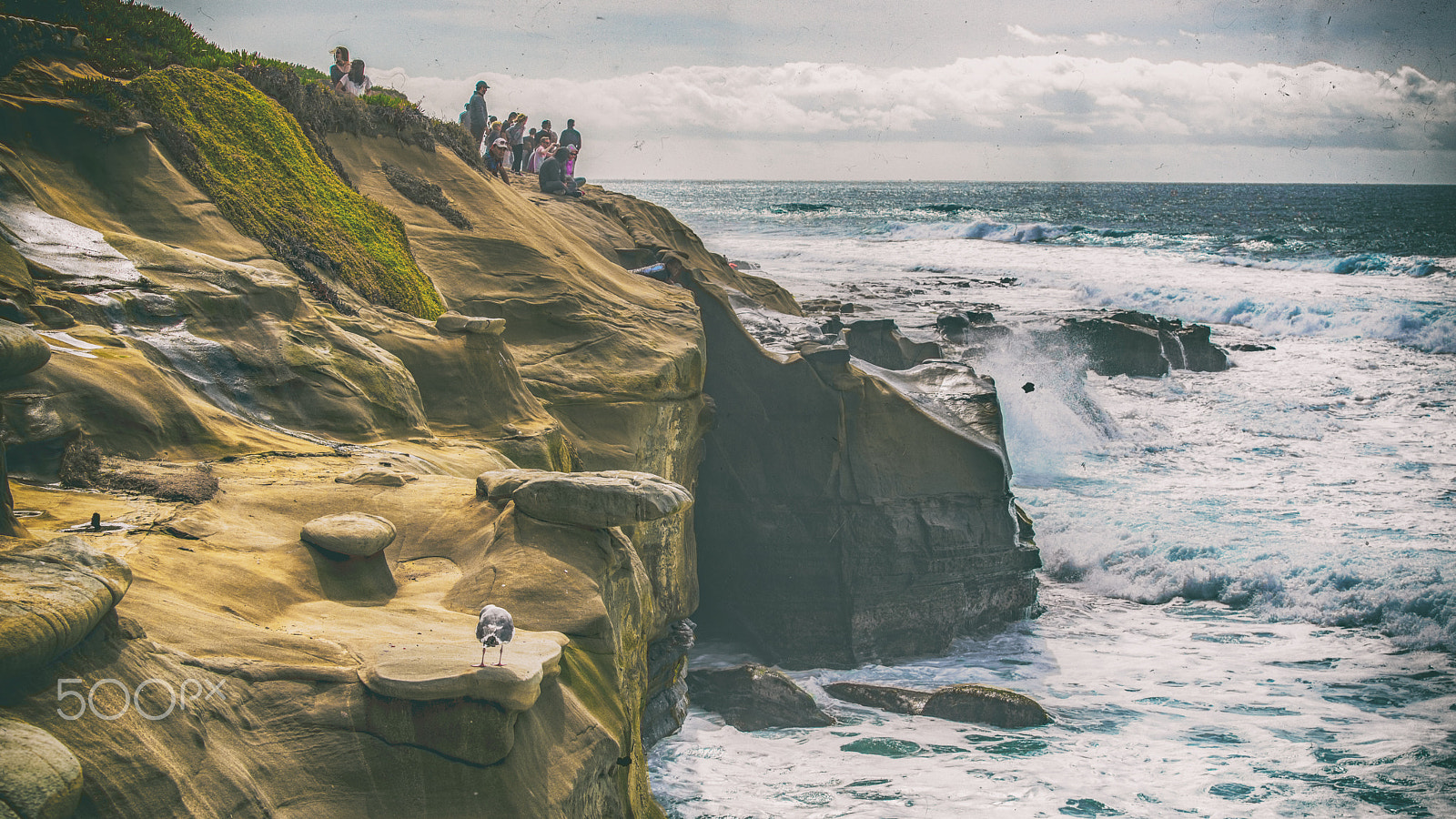 Sony a7R II + Canon EF 70-200mm F2.8L USM sample photo. Vintage cove photography