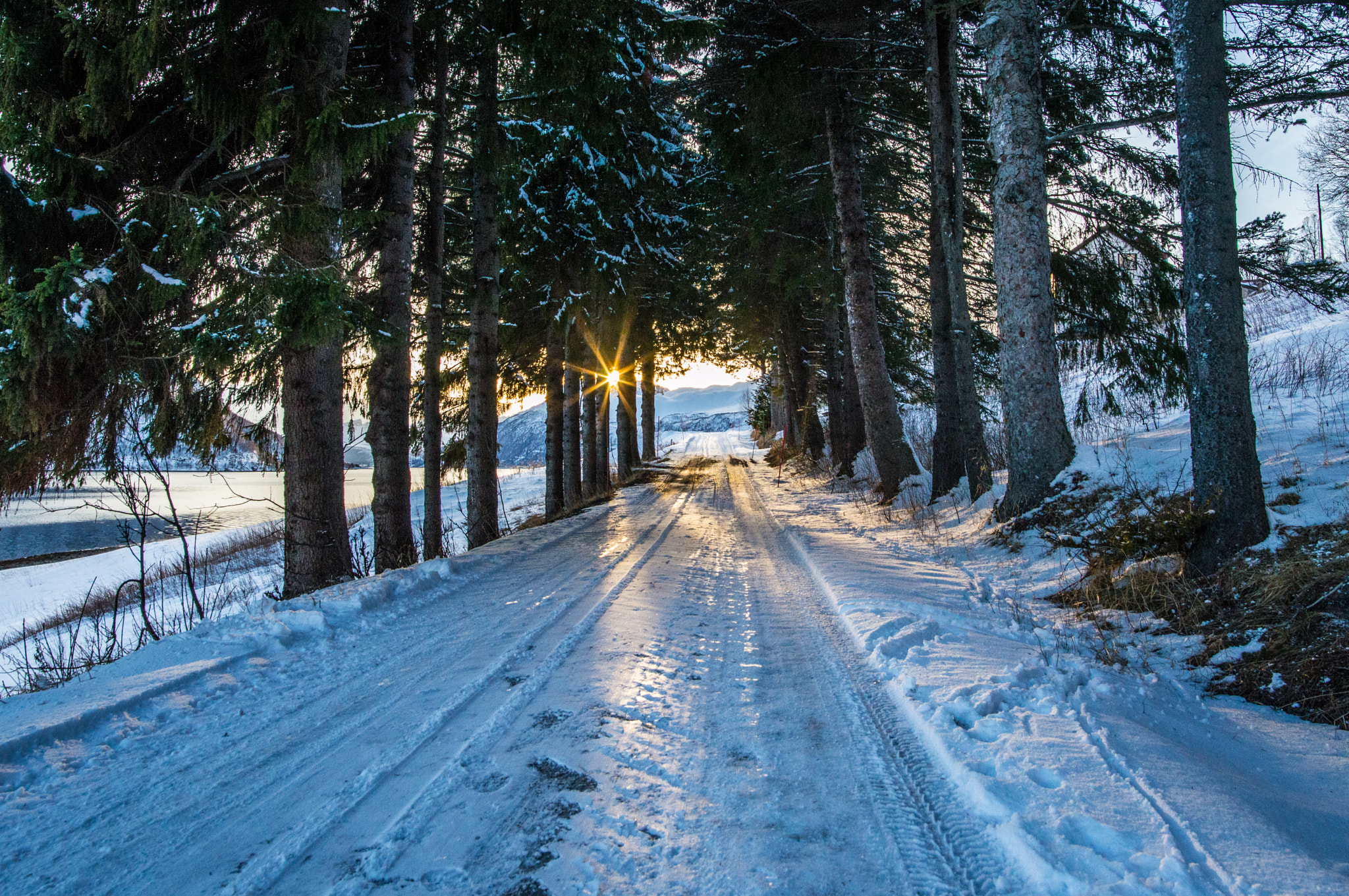 Nikon D3200 + Samyang 16mm F2 ED AS UMC CS sample photo. Into the sunset photography