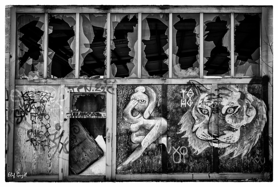 Canon EF-S 18-135mm F3.5-5.6 IS STM sample photo. Abandoned window factory photography
