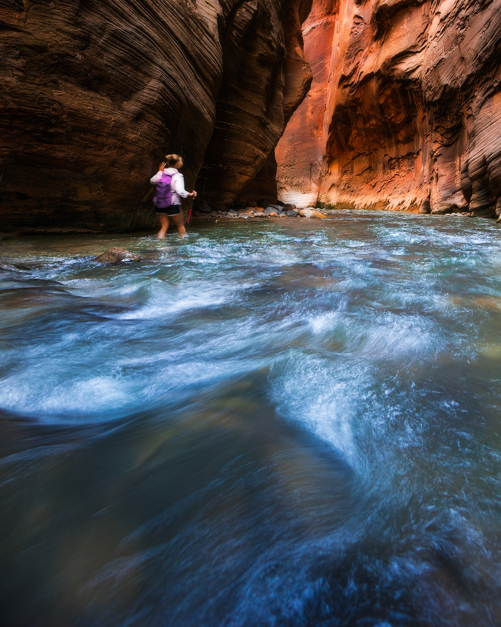 Sony a7R + Sony E 10-18mm F4 OSS sample photo. Zion oasis photography