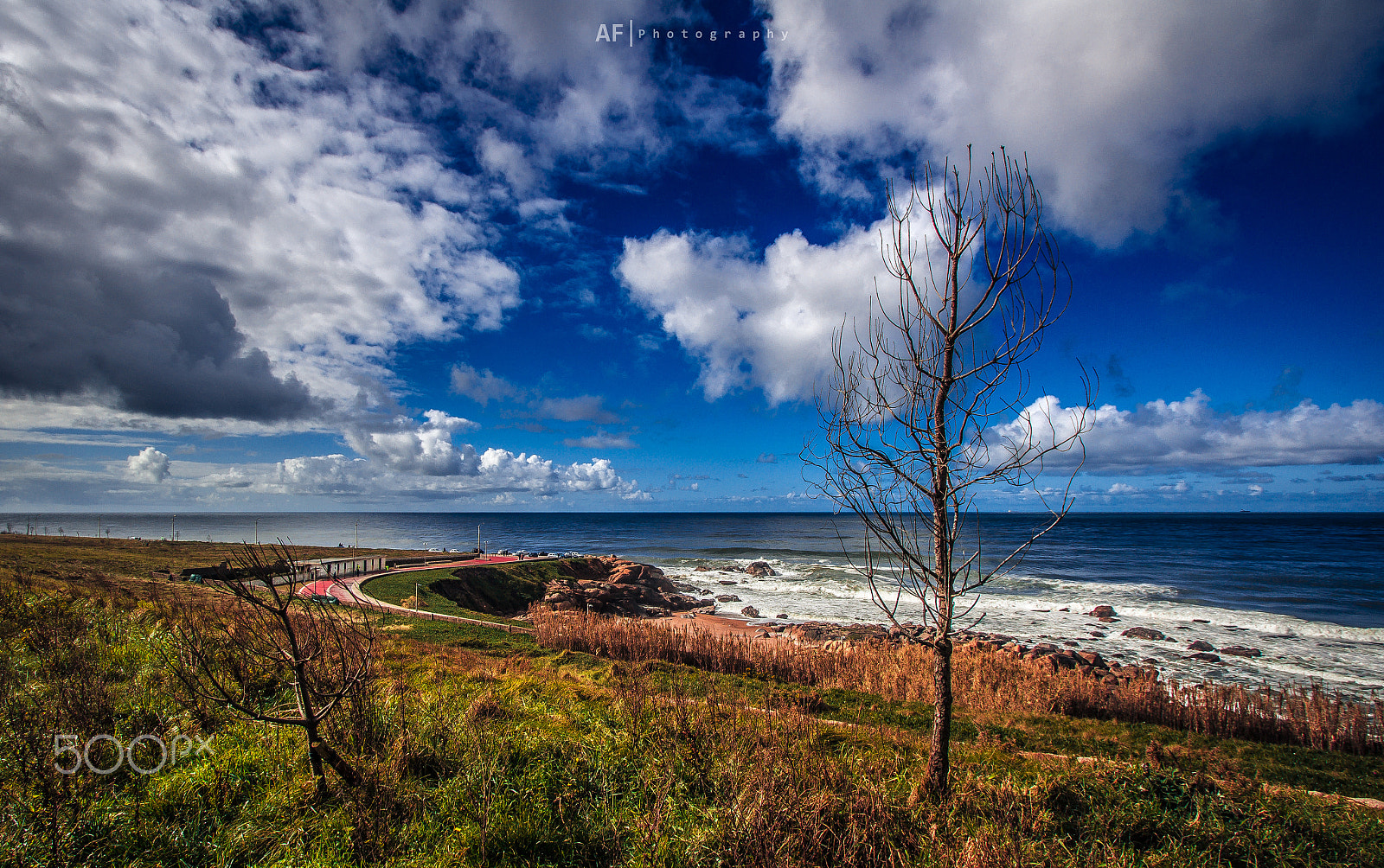 Canon EF-S 10-22mm F3.5-4.5 USM sample photo. Serenity photography