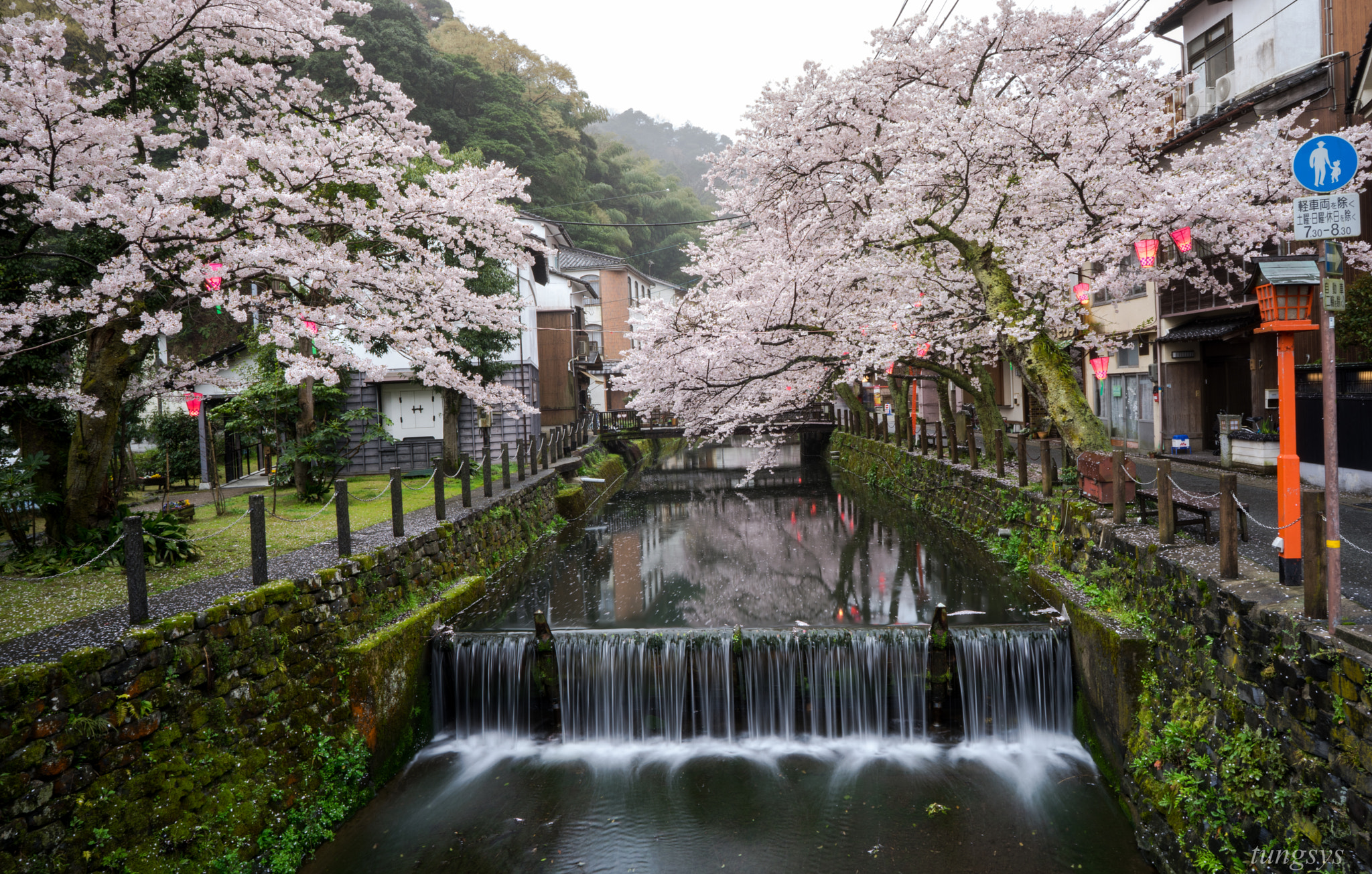 Sony a7 + ZEISS Batis 25mm F2 sample photo. Spring photography