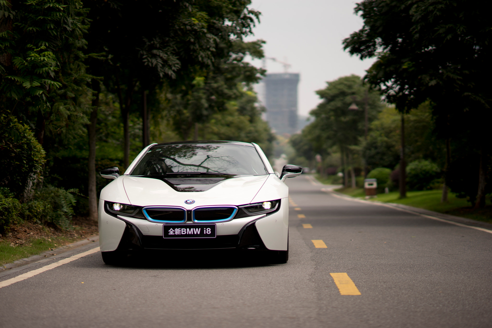 Sony Planar T* 85mm F1.4 ZA sample photo